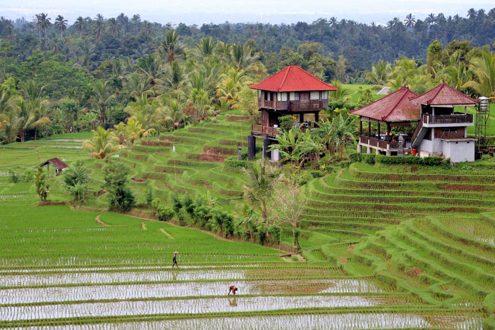 Canon EF-S 18-135mm F3.5-5.6 IS USM sample photo. Bali, landscape photography