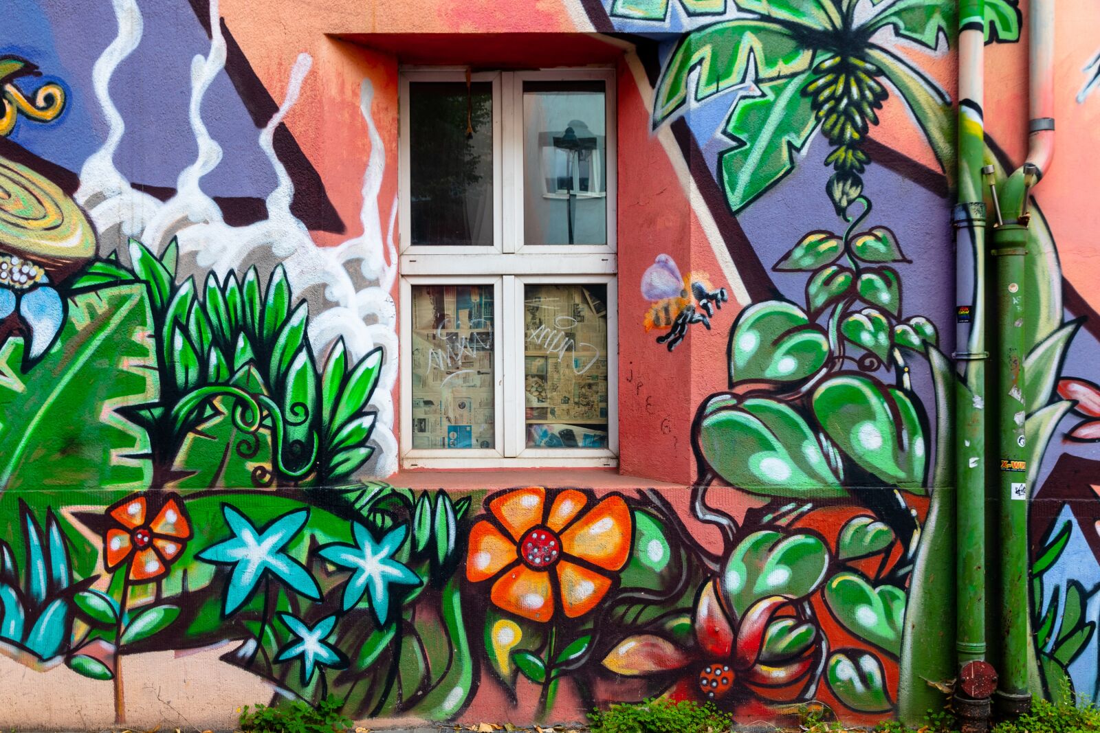 Canon EOS 80D sample photo. Grafitti, d sseldorf, pine photography