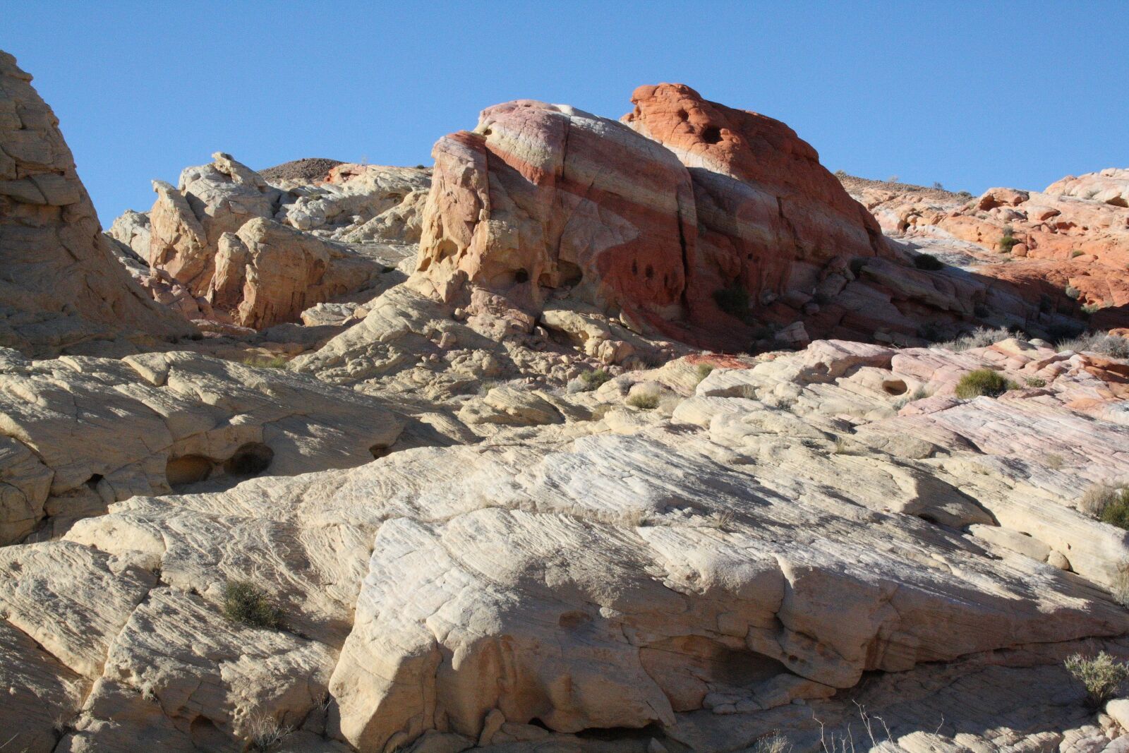 Canon EOS 1000D (EOS Digital Rebel XS / EOS Kiss F) sample photo. Usa, nevada, valley of photography