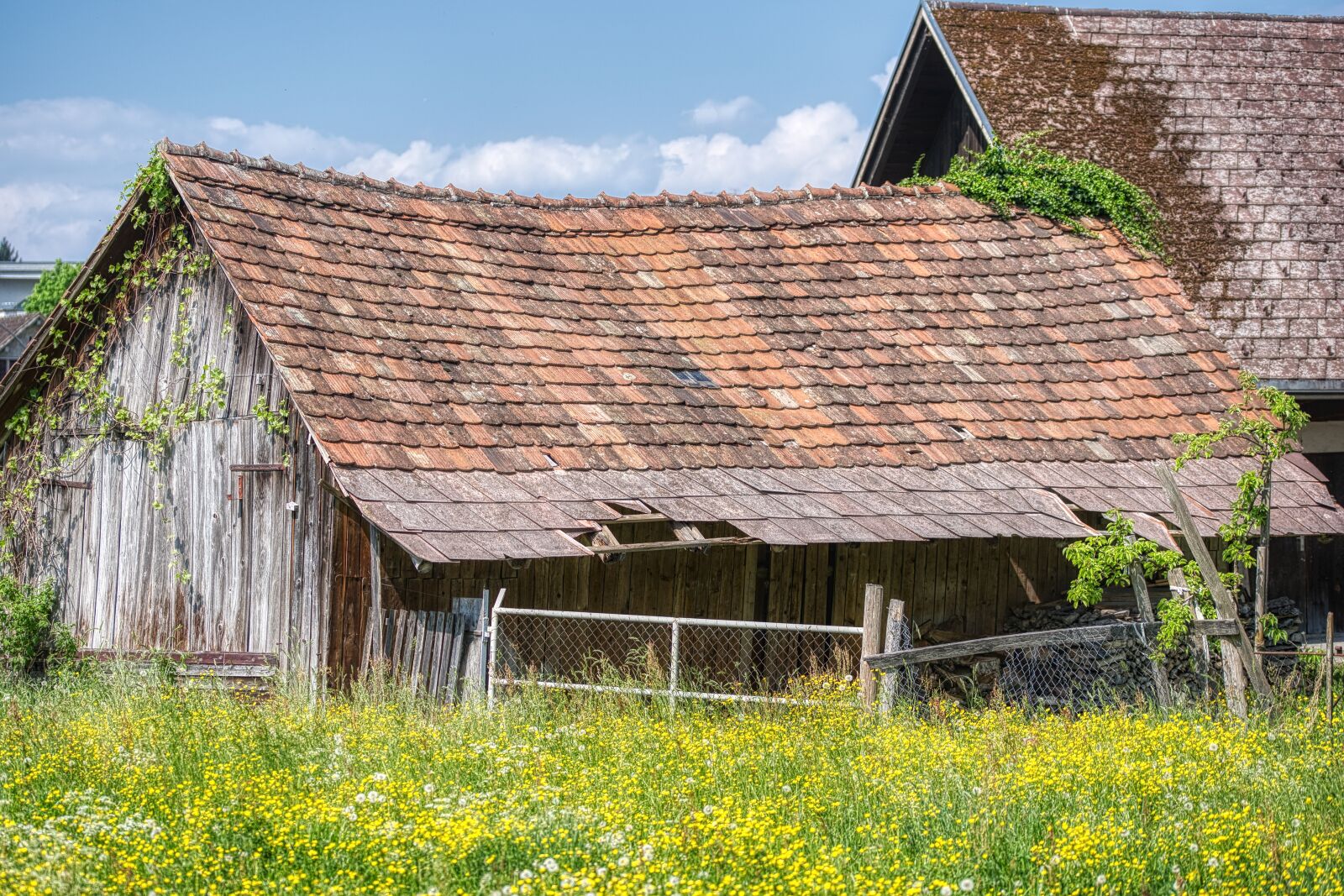 Nikon D750 sample photo. Barn, building, old photography