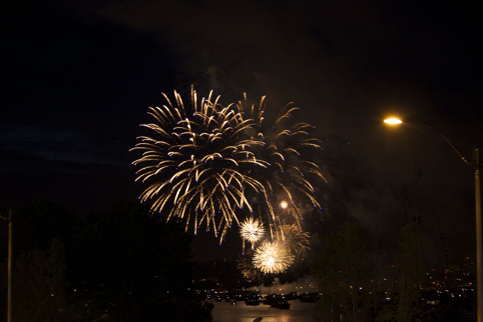 Nikon D5300 sample photo. Fireworks, seattle photography