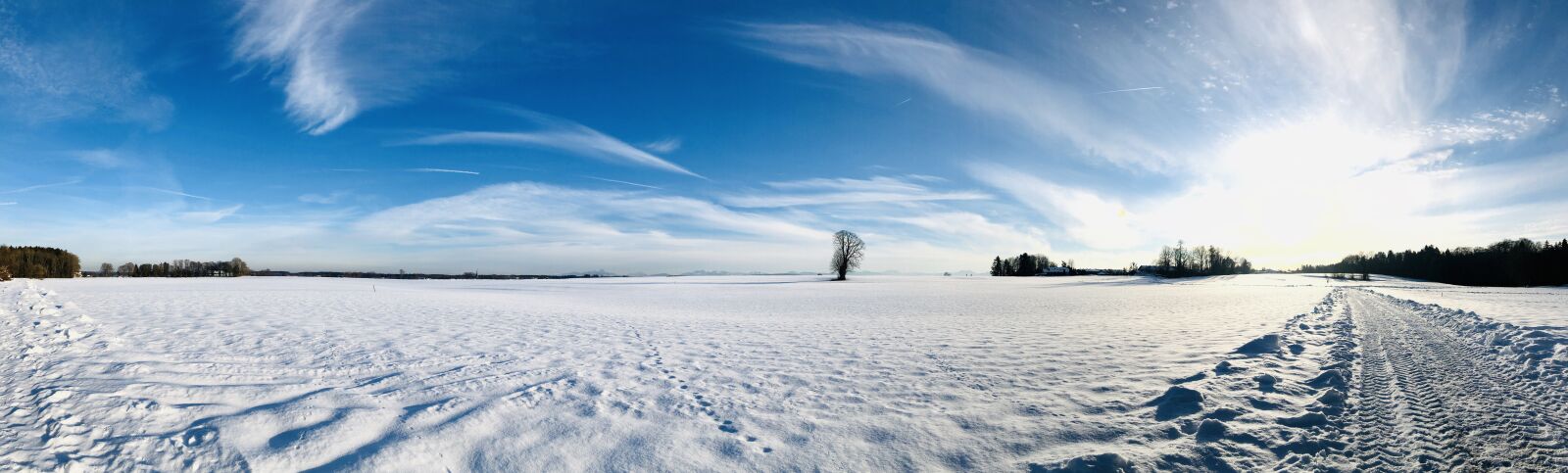 Apple iPhone X sample photo. Winter, snow, nature photography