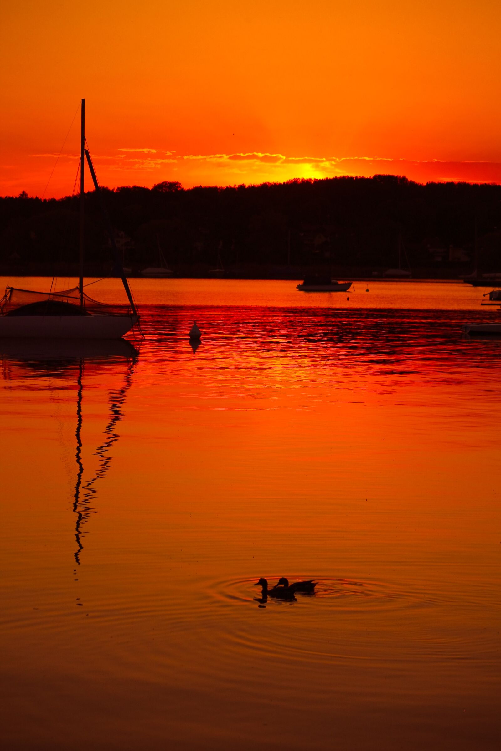 Canon EOS 450D (EOS Rebel XSi / EOS Kiss X2) sample photo. Ammersee, bavaria, germany photography