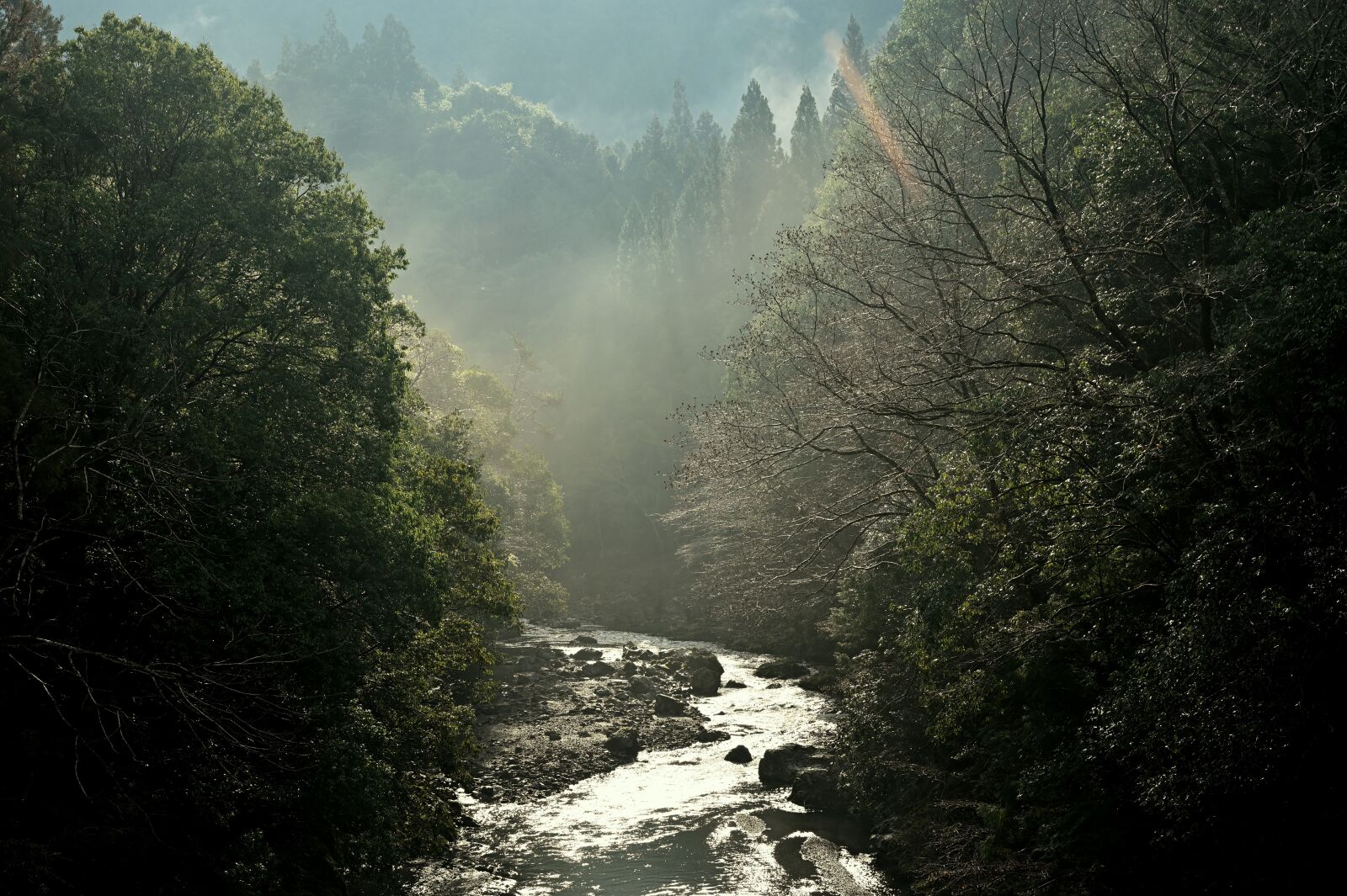 Nikon Nikkor Z 24-70mm F2.8 S sample photo. Asahi, fog, river photography