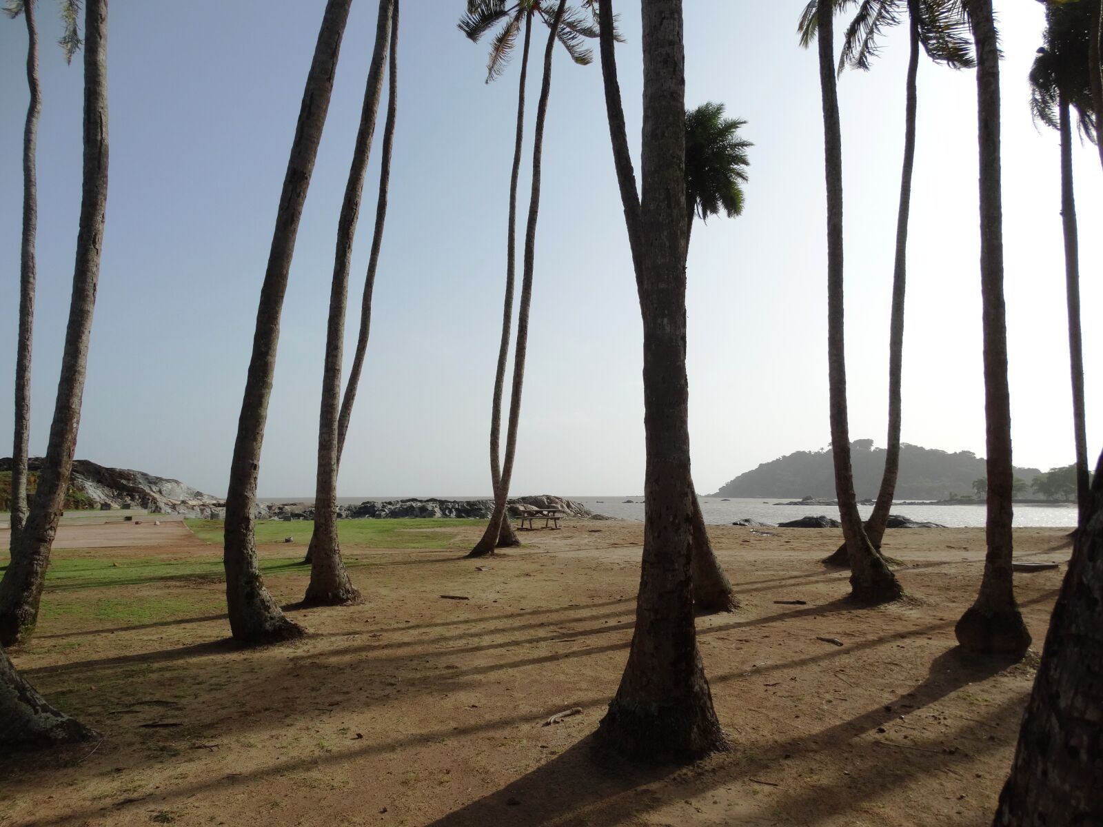 Sony Cyber-shot DSC-HX300 sample photo. Palm trees, orla, cayenne photography