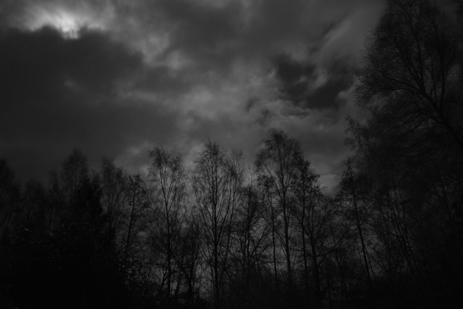 Nikon D3300 sample photo. Black and white, park photography
