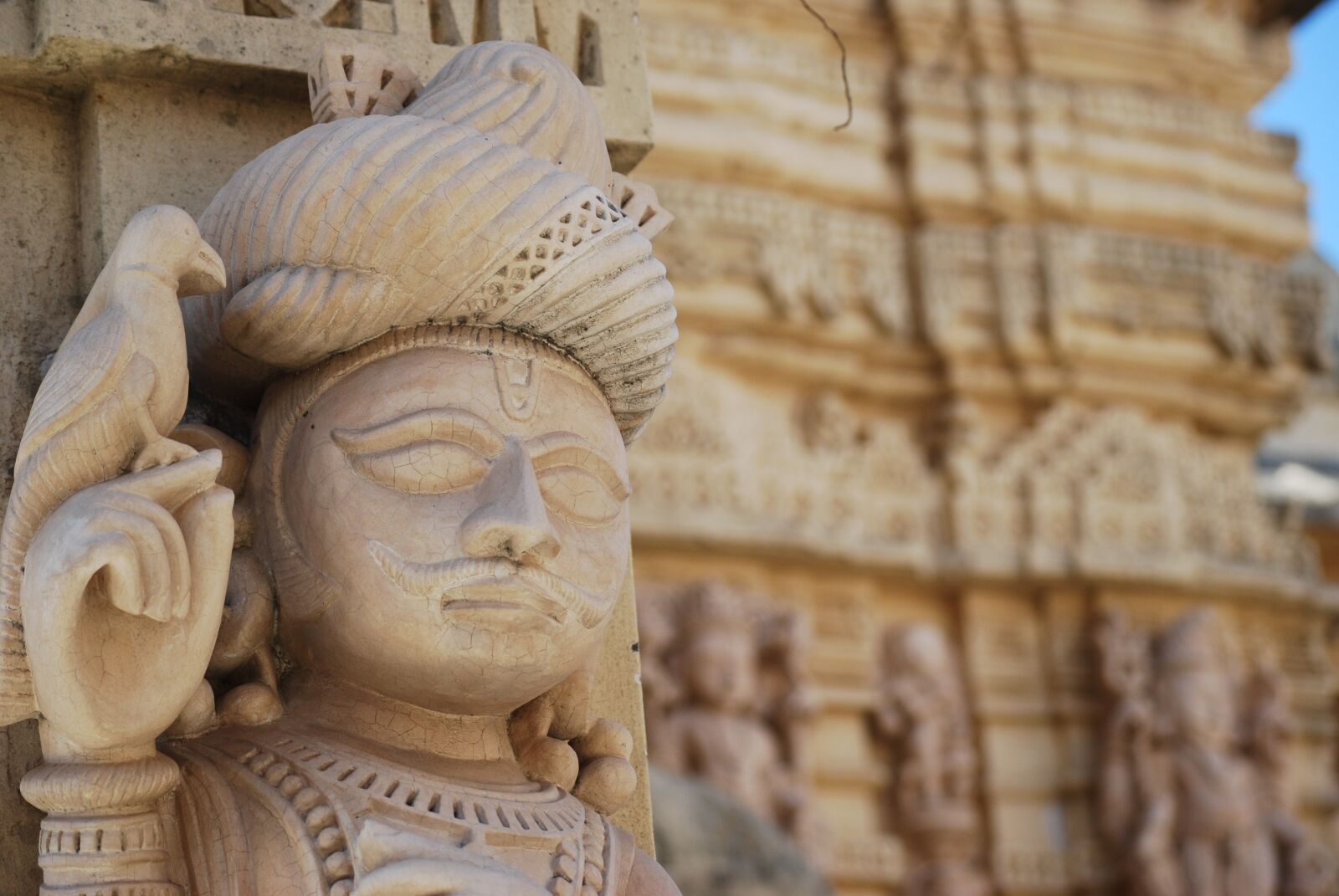 Nikon D40X sample photo. India, temple, sacred photography