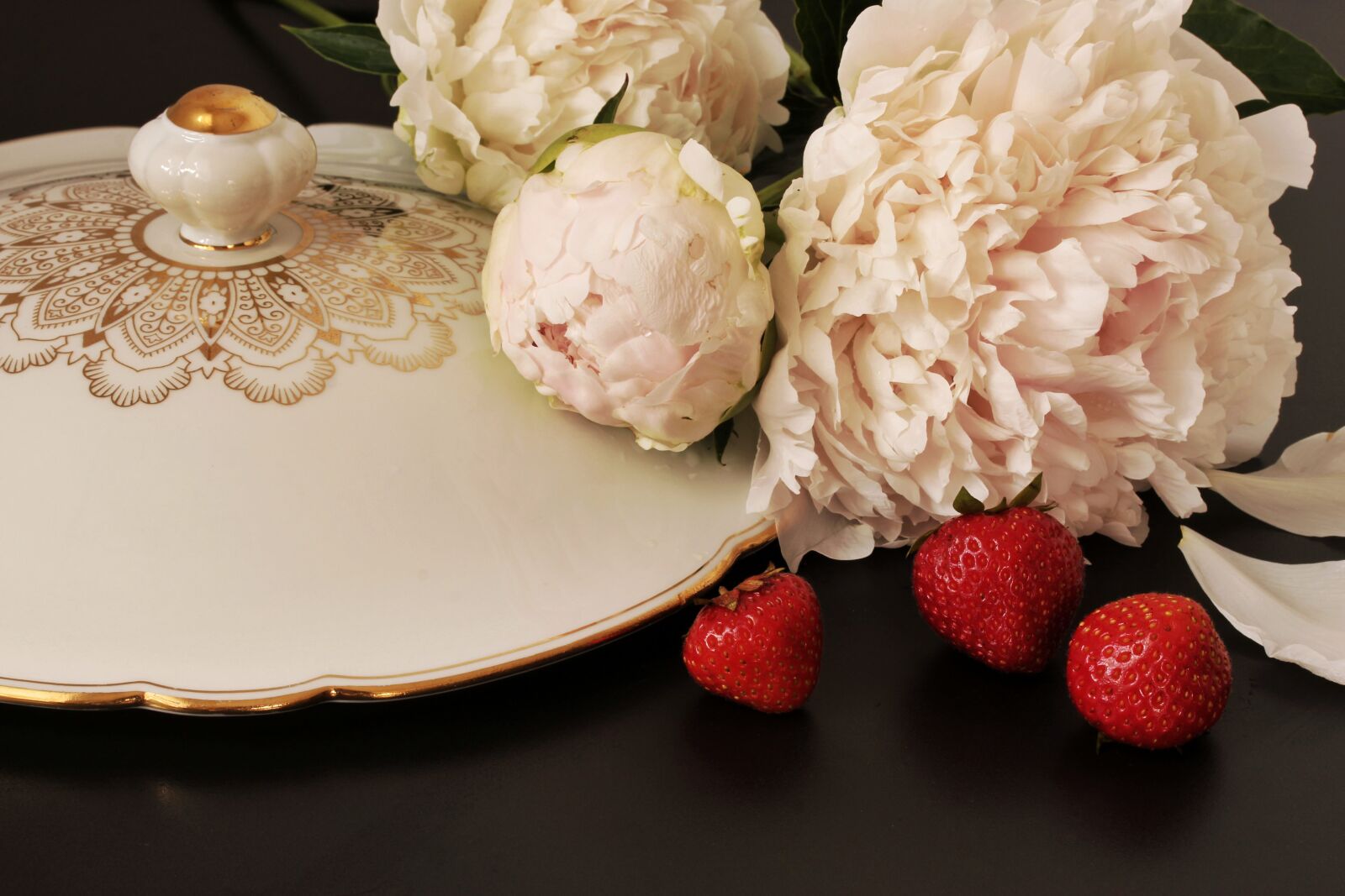 Canon EF-S 60mm F2.8 Macro USM sample photo. Paeony, peony, still life photography