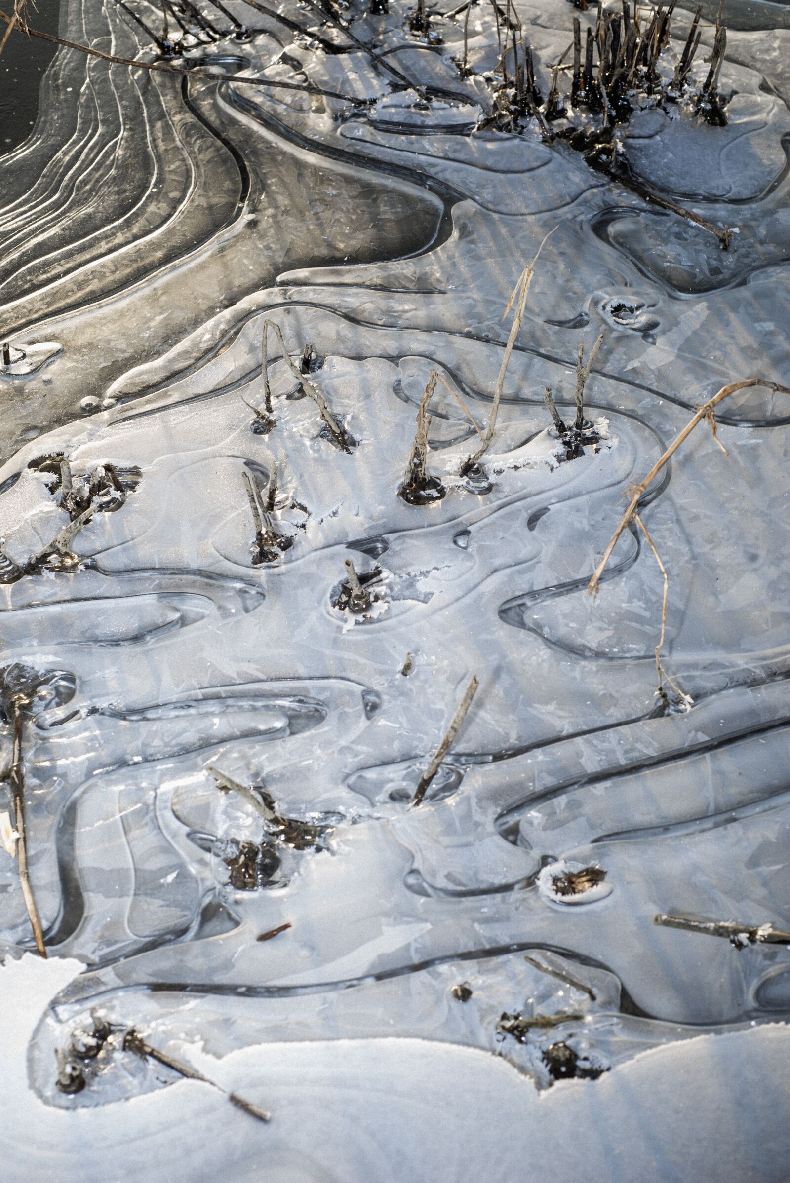 Nikon D610 sample photo. Ice, snow, cold photography