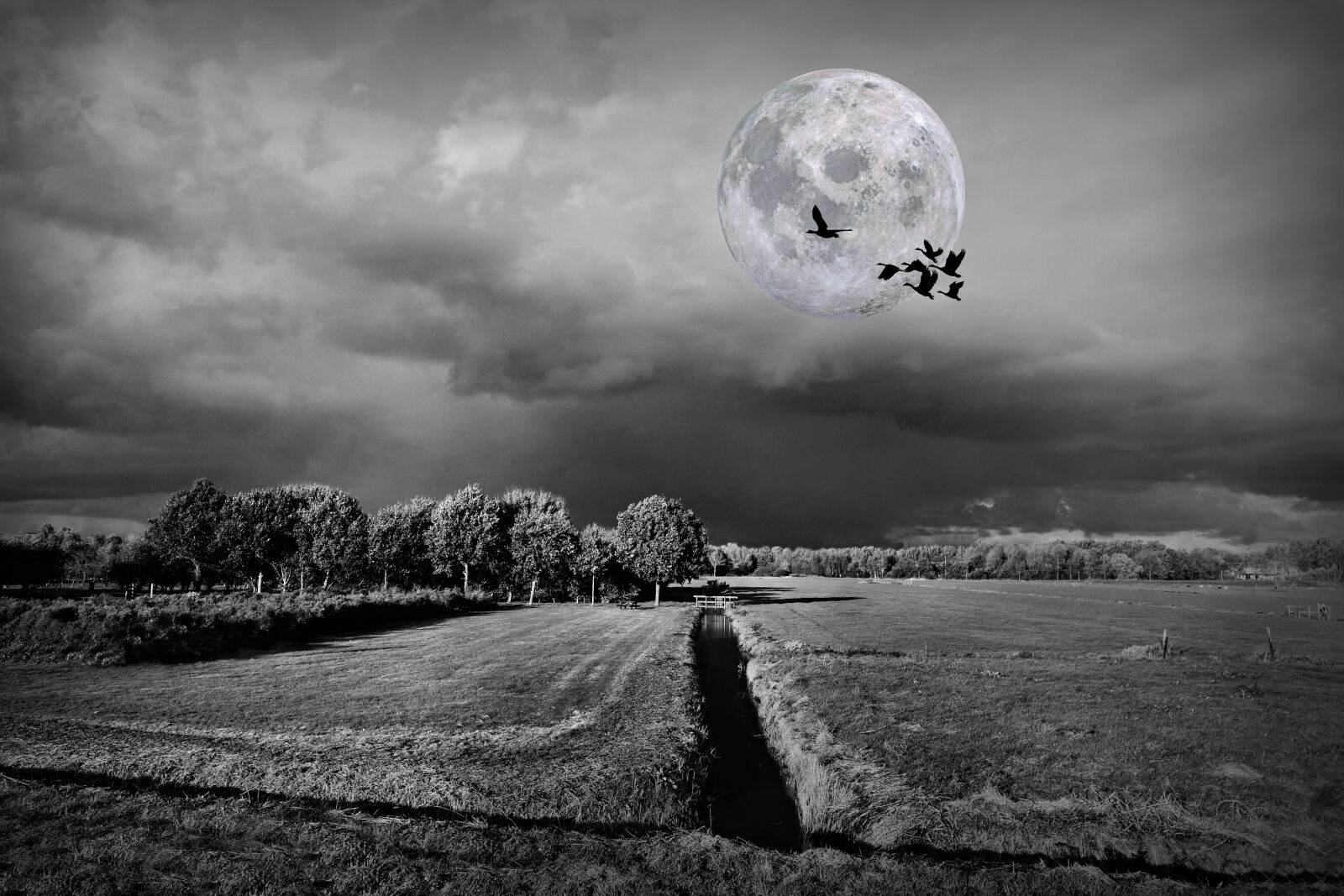 Sony Cyber-shot DSC-RX100 sample photo. Landscape, moon, bird photography