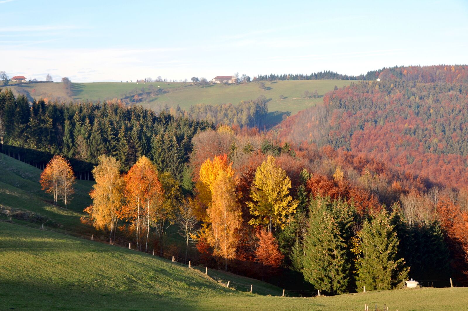 Nikon D90 sample photo. Autumn, autumn mood, autumn photography