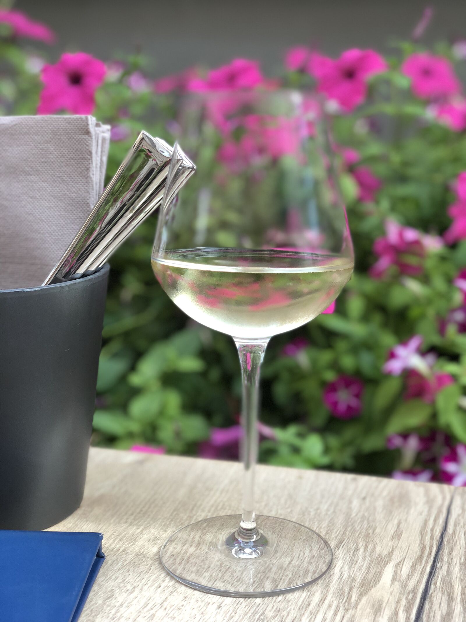 iPhone X back dual camera 6mm f/2.4 sample photo. Wine, summer, outdoors photography
