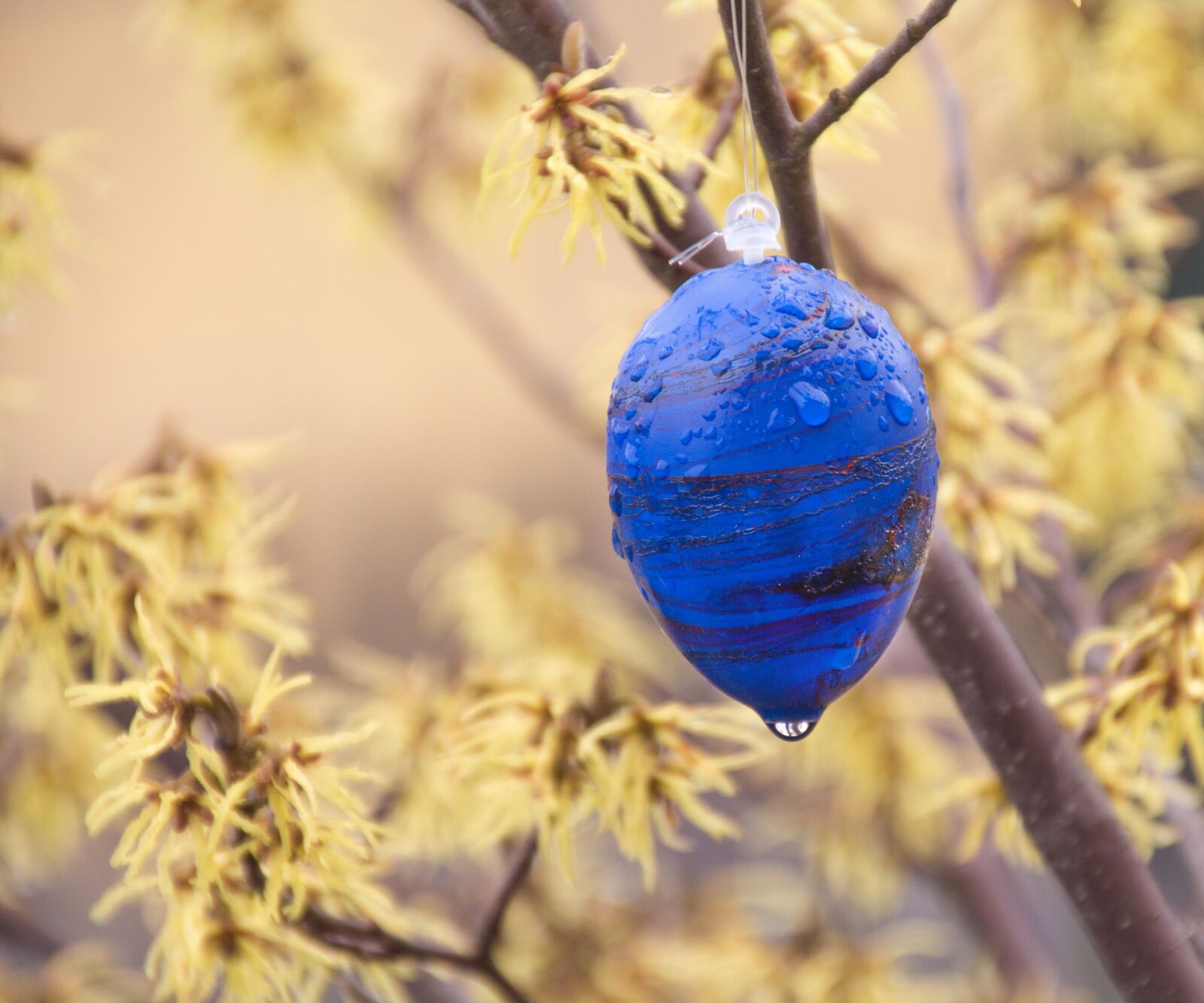 Canon EOS 650D (EOS Rebel T4i / EOS Kiss X6i) sample photo. Easter, easter egg, wet photography