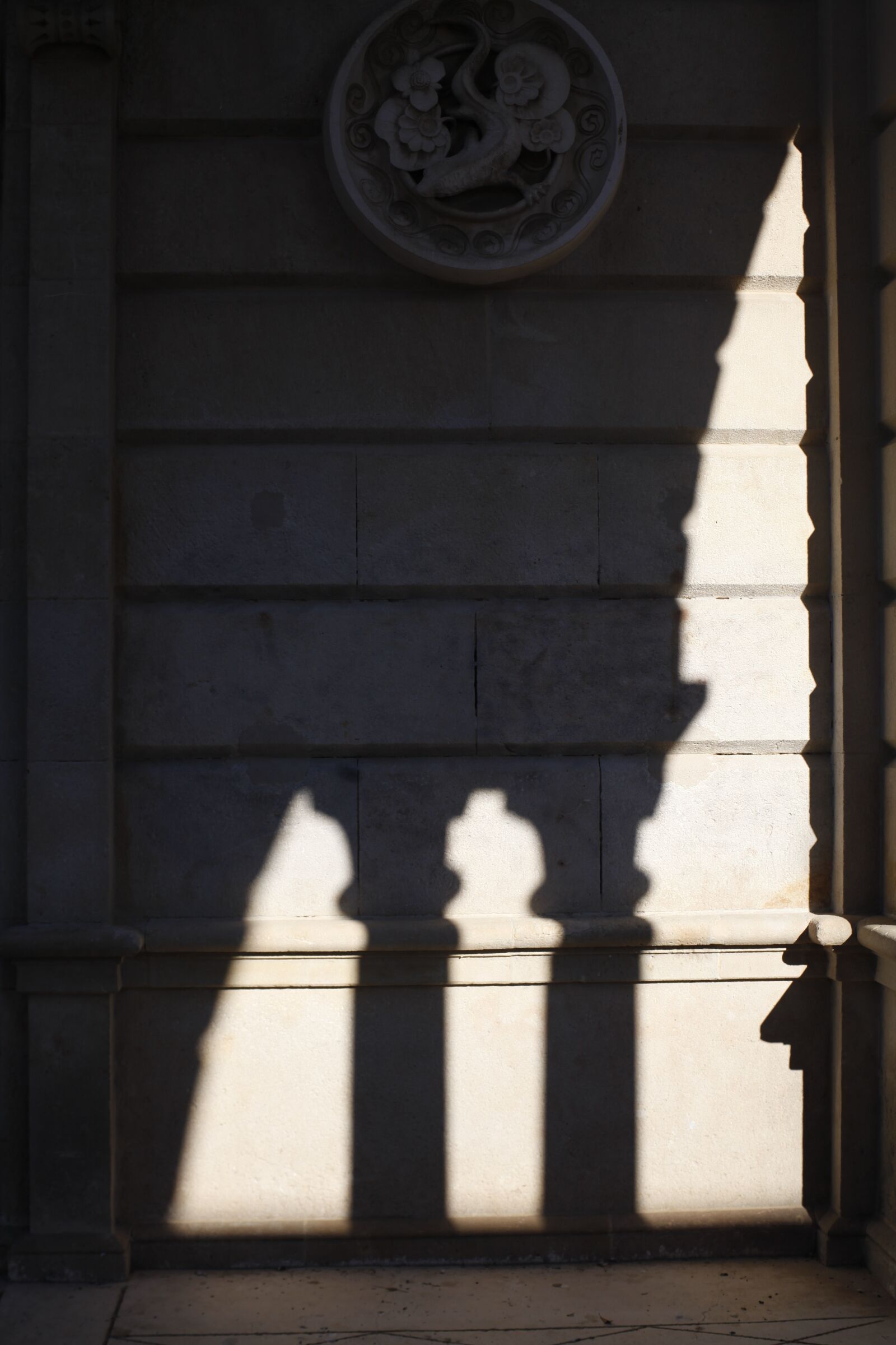 Canon EOS 5D Mark II sample photo. Shadow, sun, lighting photography