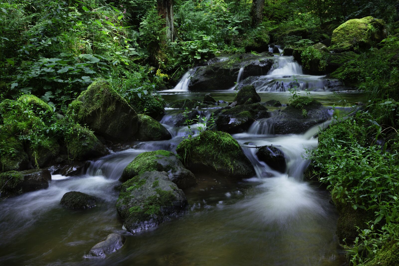 Canon EOS 5D Mark IV sample photo. Ravenna, gordge, water photography