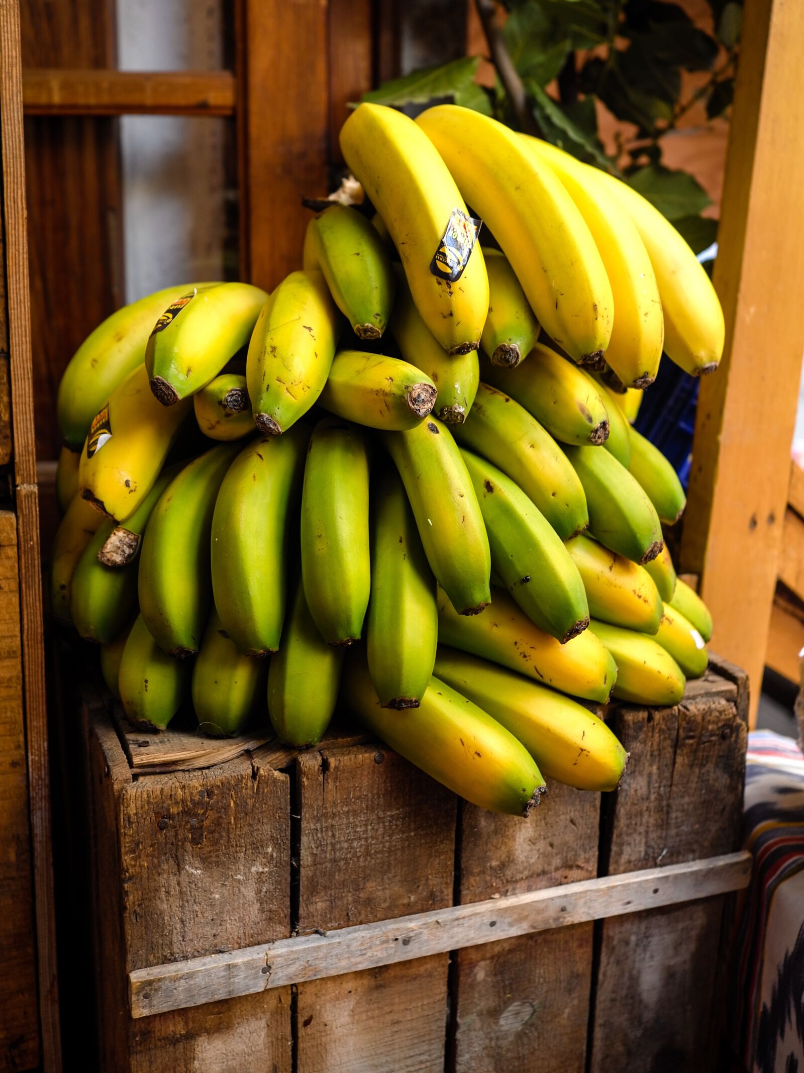 Leica X (Typ 113) sample photo. Banana, fruit, food photography