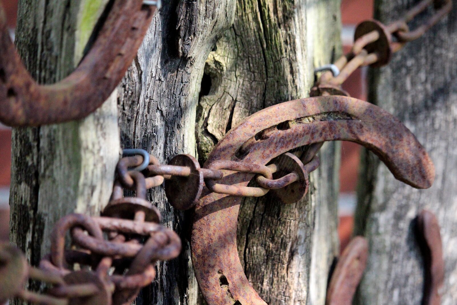 Canon EF-S 55-250mm F4-5.6 IS STM sample photo. Horseshoe, rust, old photography