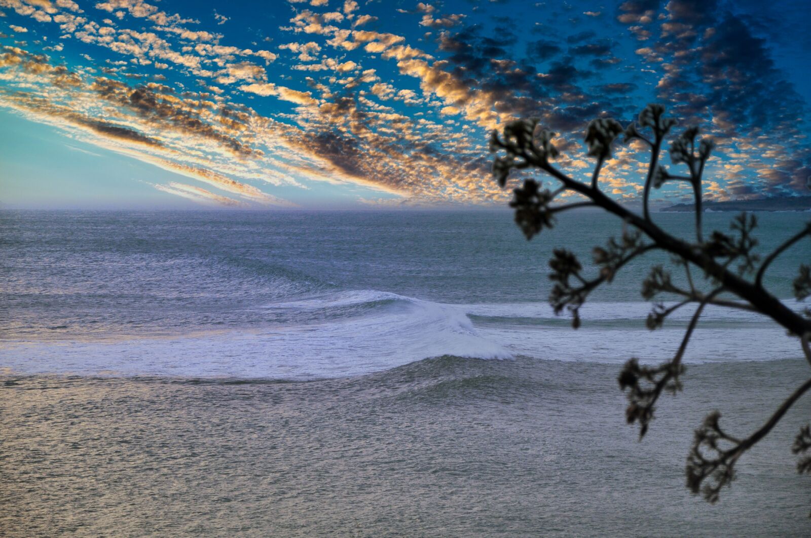Nikon D5000 sample photo. Sea, sicily, italy photography