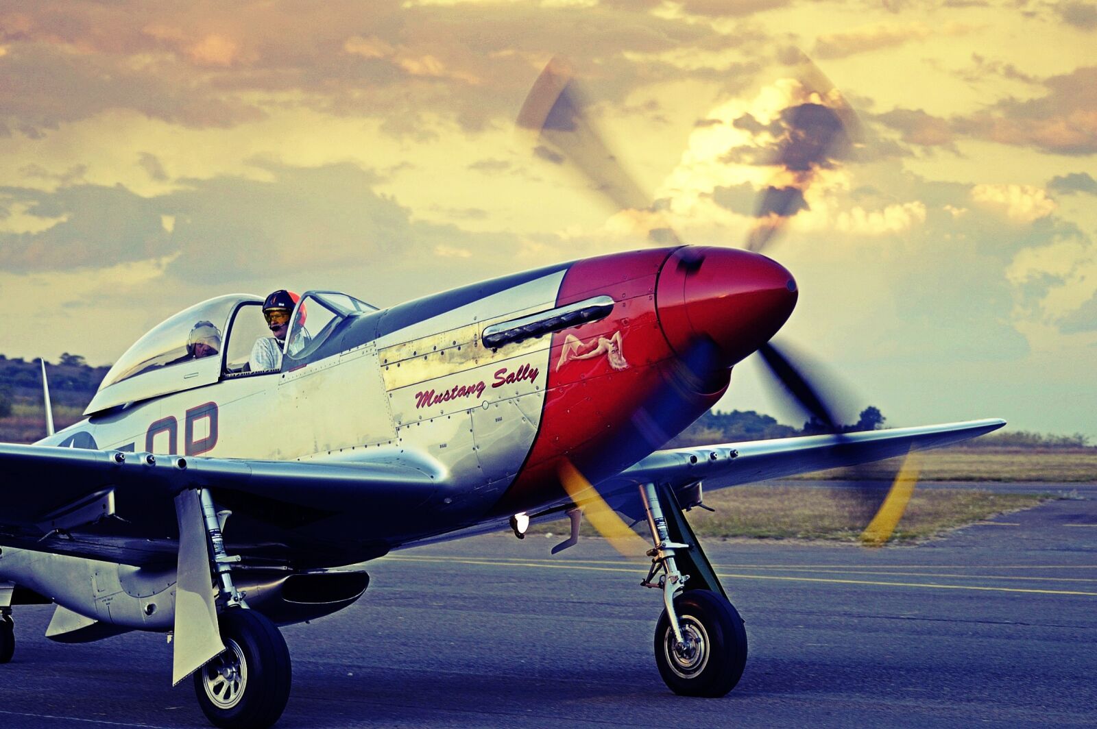 Nikon D3200 sample photo. Mustang, p-51, airplane photography
