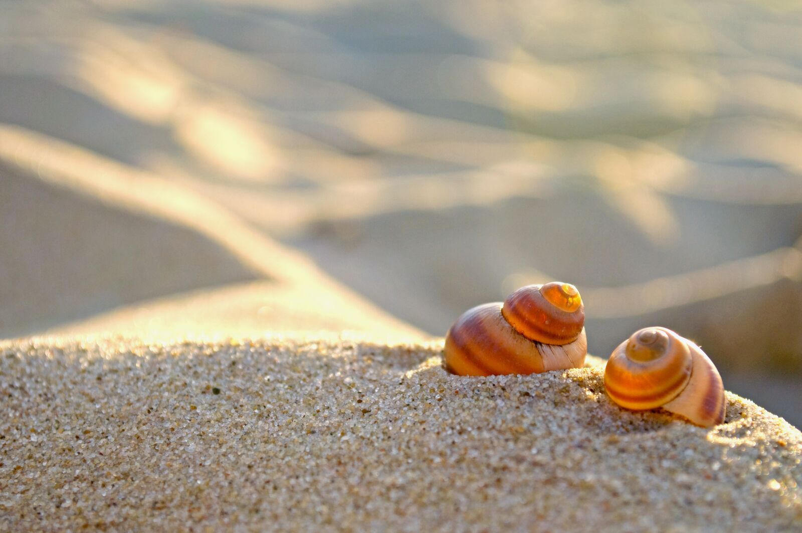 Nikon D90 sample photo. Beach, sand, nature photography