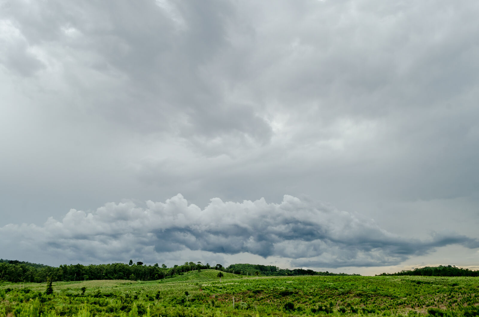 Nikon D5100 sample photo