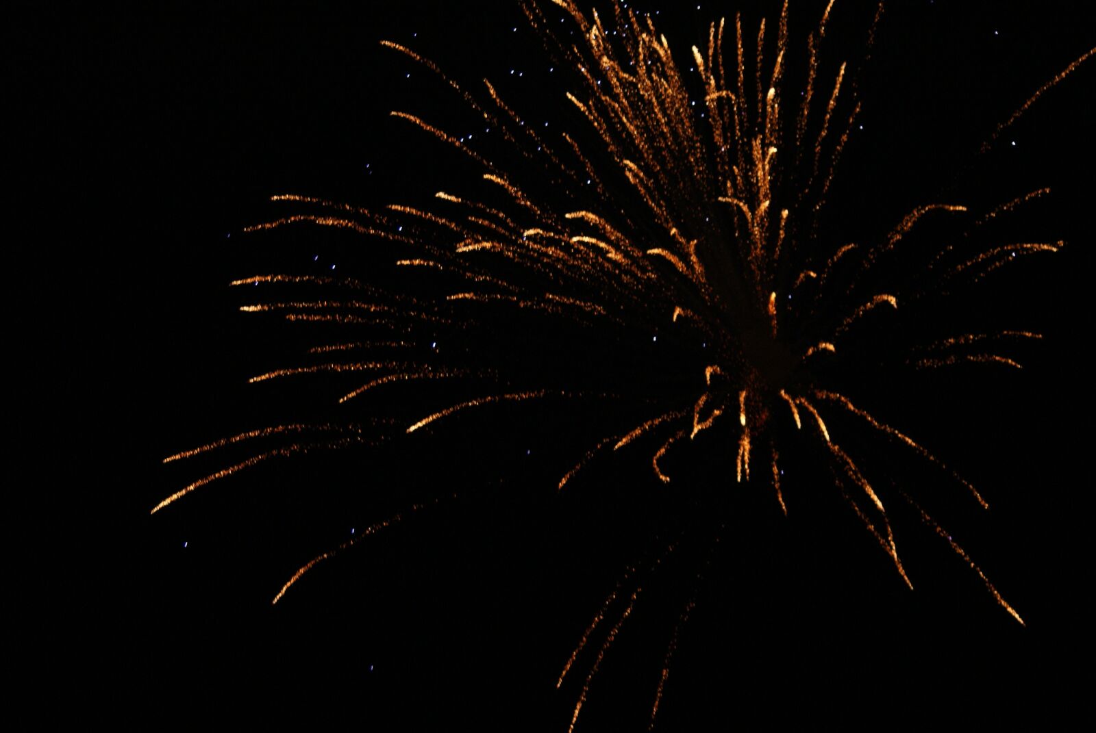 Sony Alpha DSLR-A200 sample photo. Fireworks, scotland, guy fawkes photography