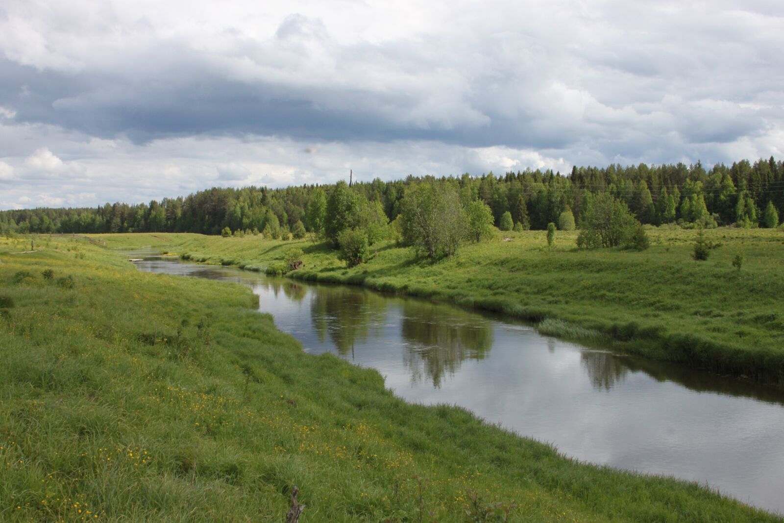 Canon EOS 500D (EOS Rebel T1i / EOS Kiss X3) sample photo. Summer, river, meadow photography