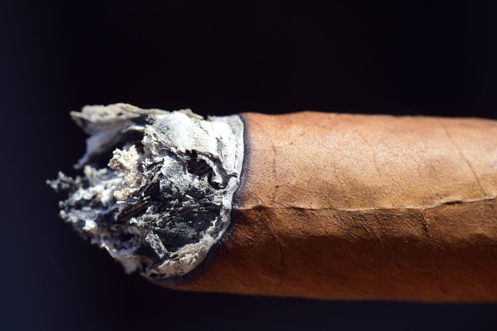 Nikon D3300 sample photo. Ash, cigar, smoking photography