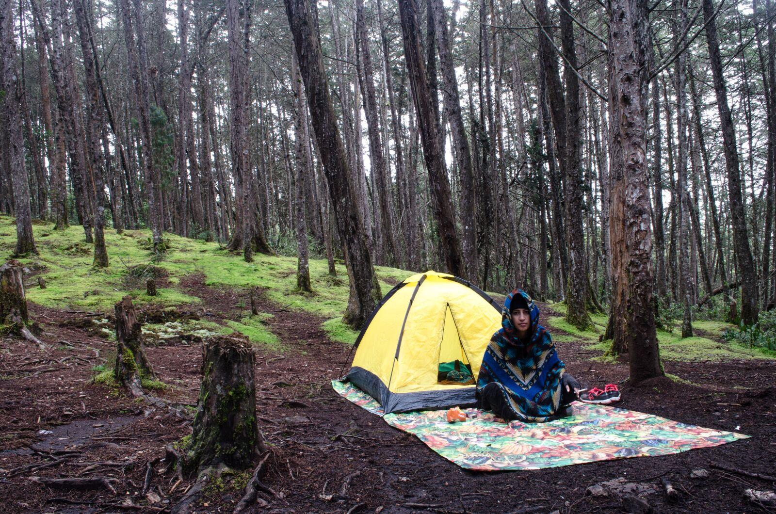 Nikon D5100 sample photo. Camping, picnic, woods photography