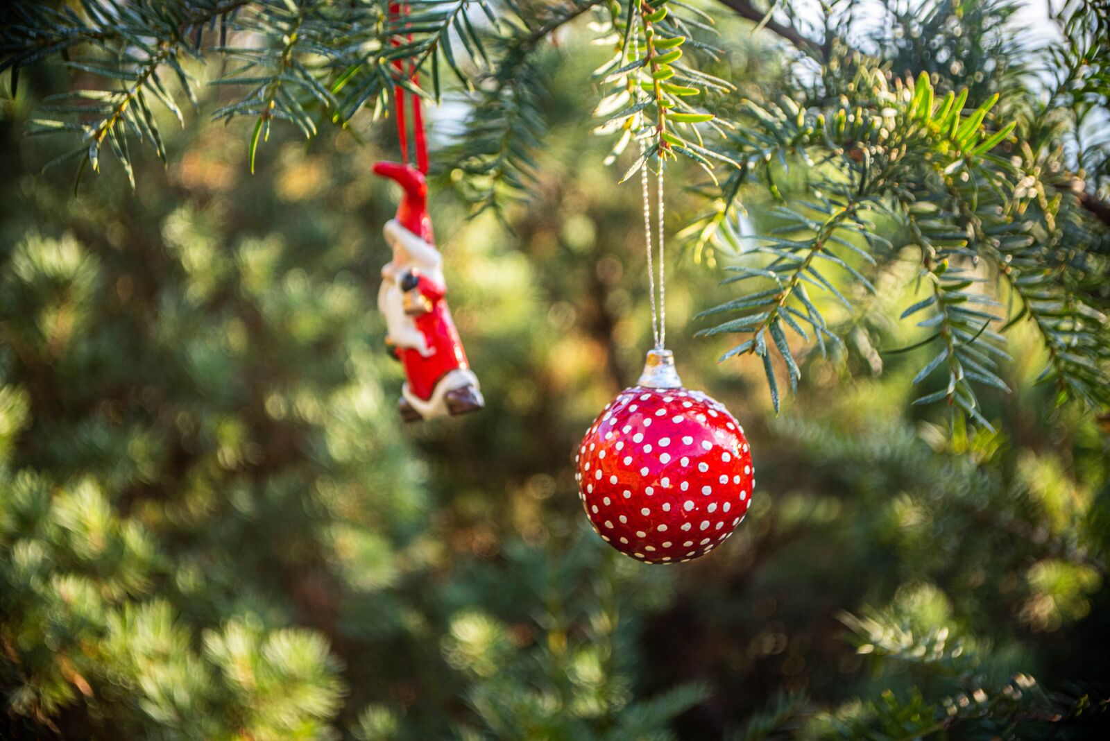 Nikon D750 sample photo. Christmas, decoration, christmas time photography