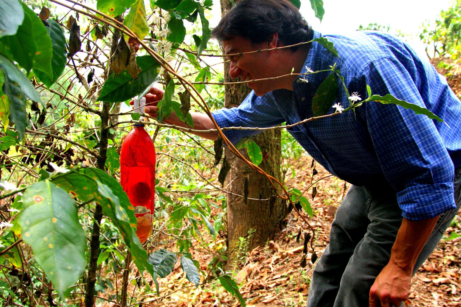 Canon EOS 20D sample photo. Man, demonstrates, organic, coffee photography