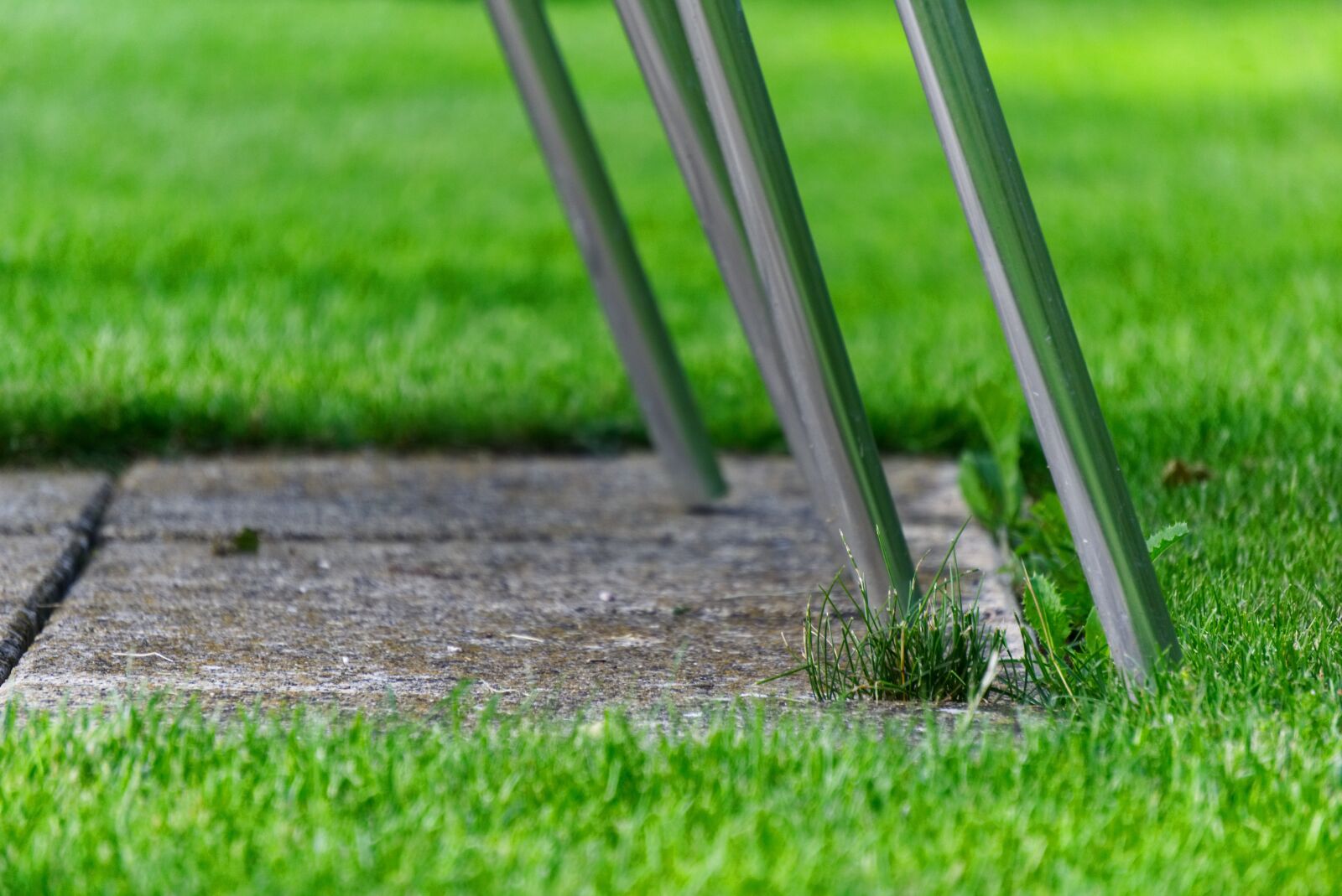 Sony a6000 sample photo. Chair legs, chair, grass photography