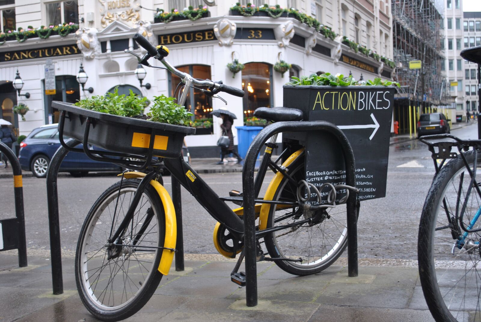 Nikon D3000 sample photo. London, flowers, uk photography