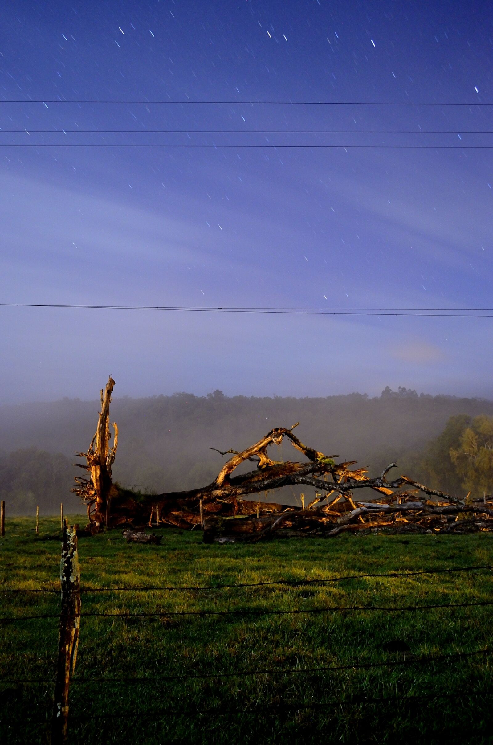 Nikon D5100 sample photo
