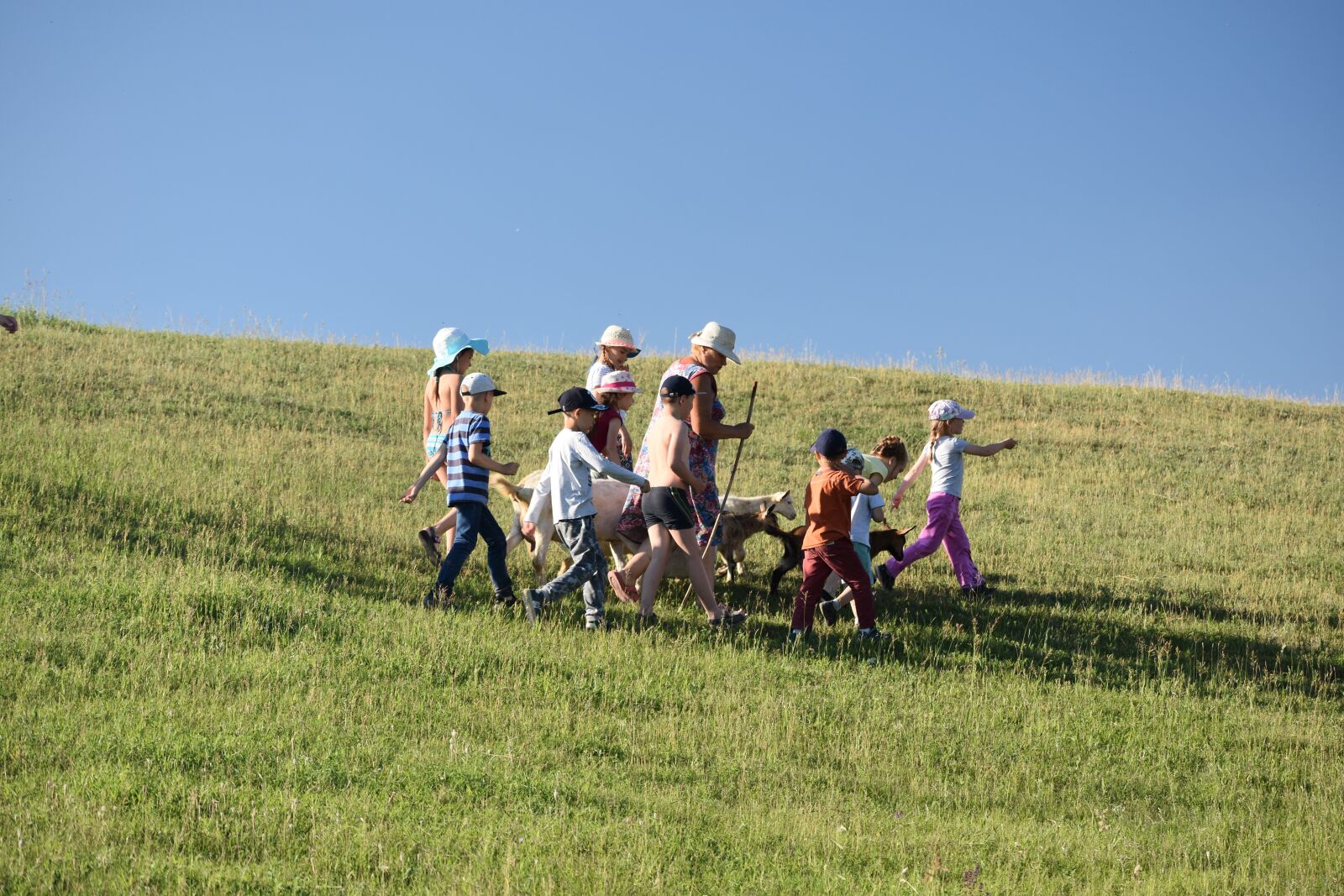 Nikon D3400 sample photo. Childhood, camping, kids photography