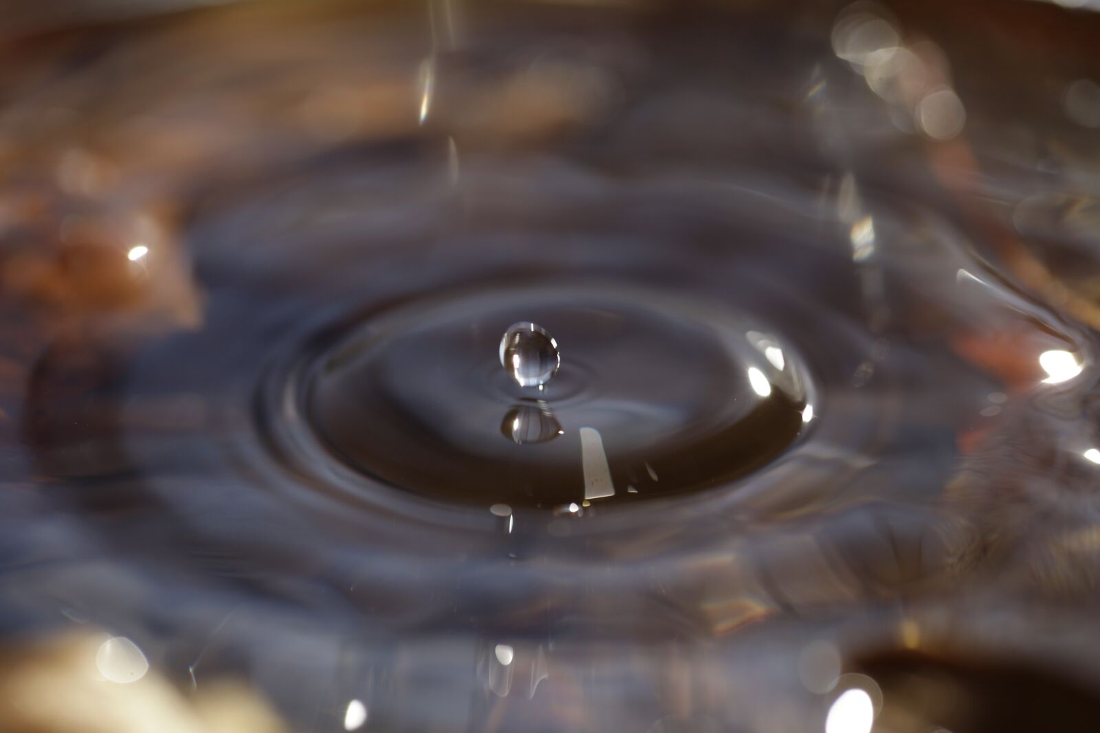 Canon EF 100mm F2.8L Macro IS USM sample photo. Drip, drops closeup, drop photography