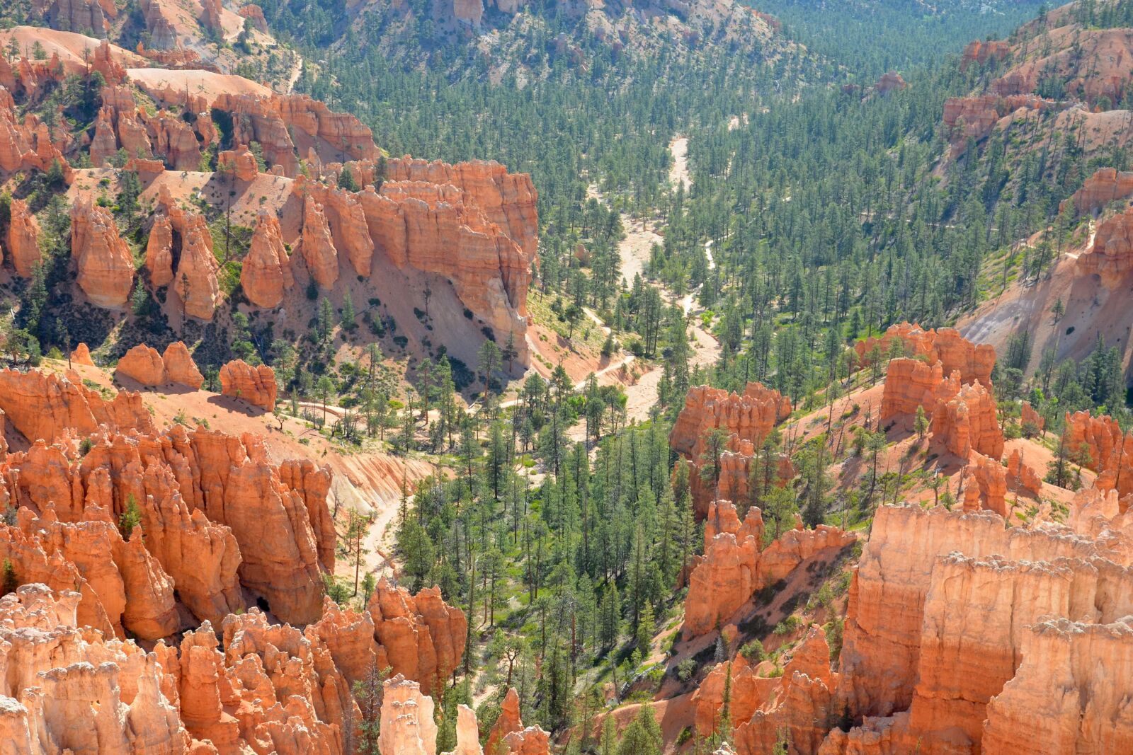 Nikon D7000 sample photo. Bryce canyon national park photography