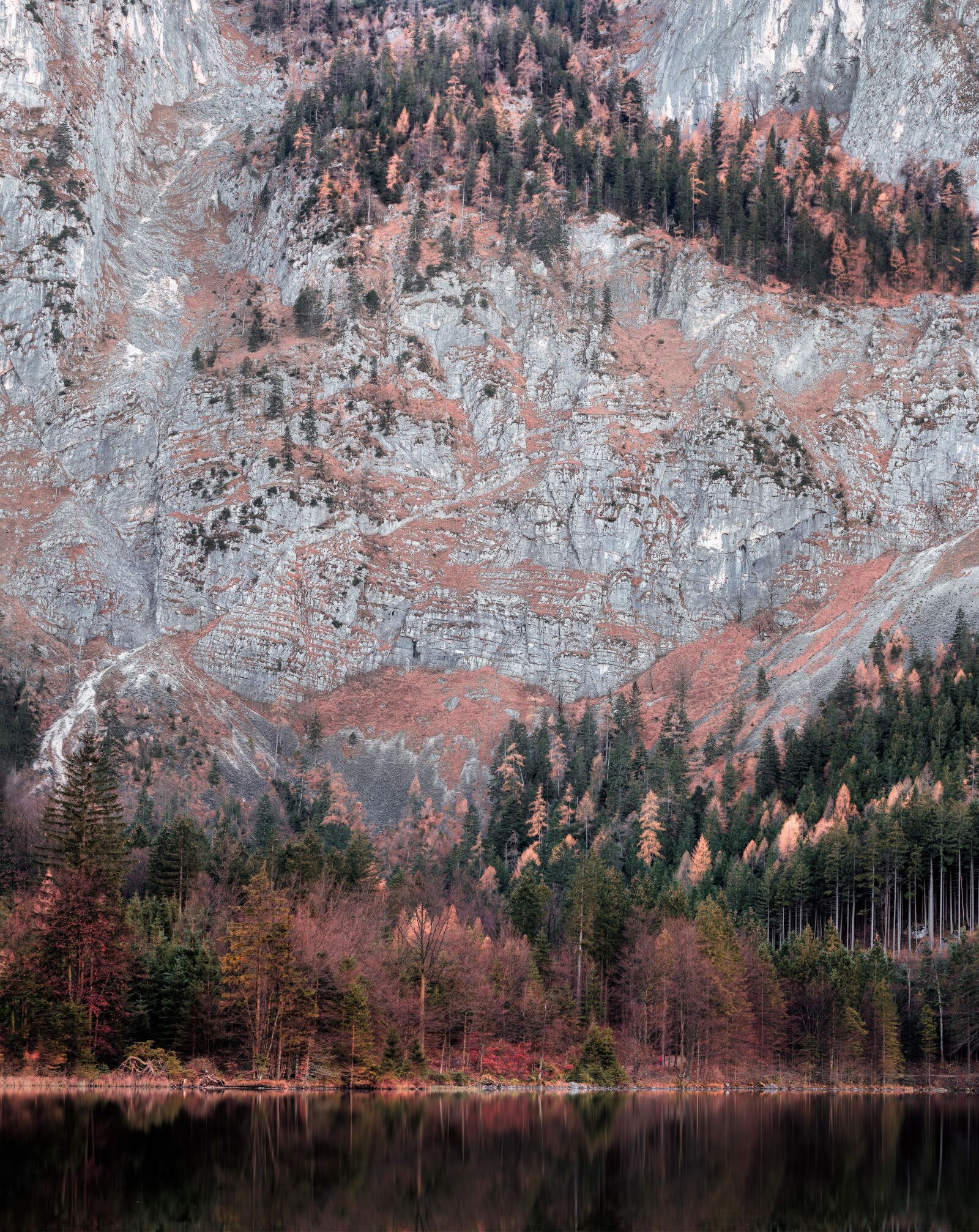 Olympus OM-D E-M1 Mark II sample photo. Wall, autumn, nature photography