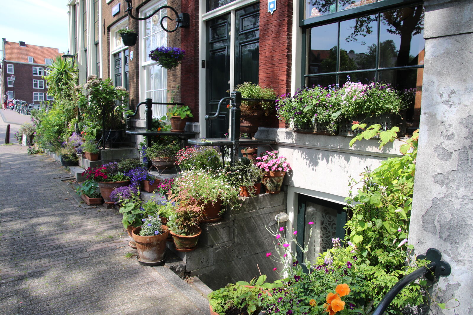 Canon EOS 7D Mark II sample photo. Amsterdam, decorate, europe, flower photography