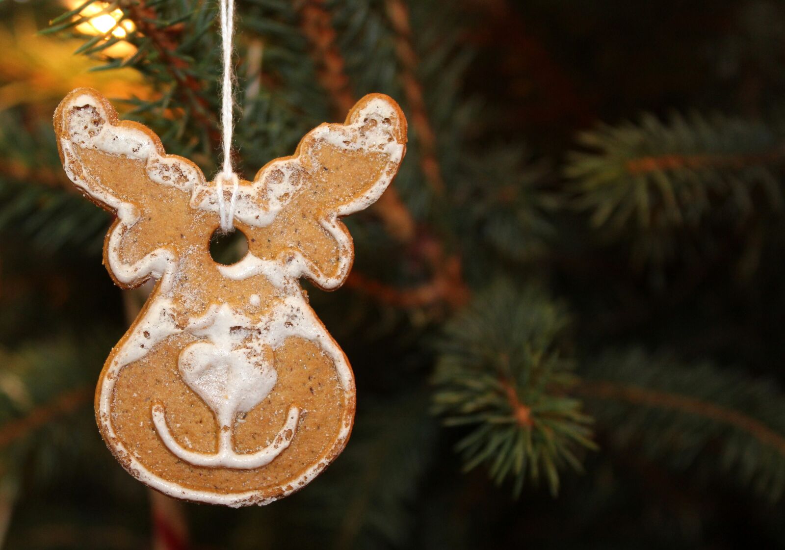 Canon EOS 1200D (EOS Rebel T5 / EOS Kiss X70 / EOS Hi) sample photo. Gingerbread, christmas tree, burning photography