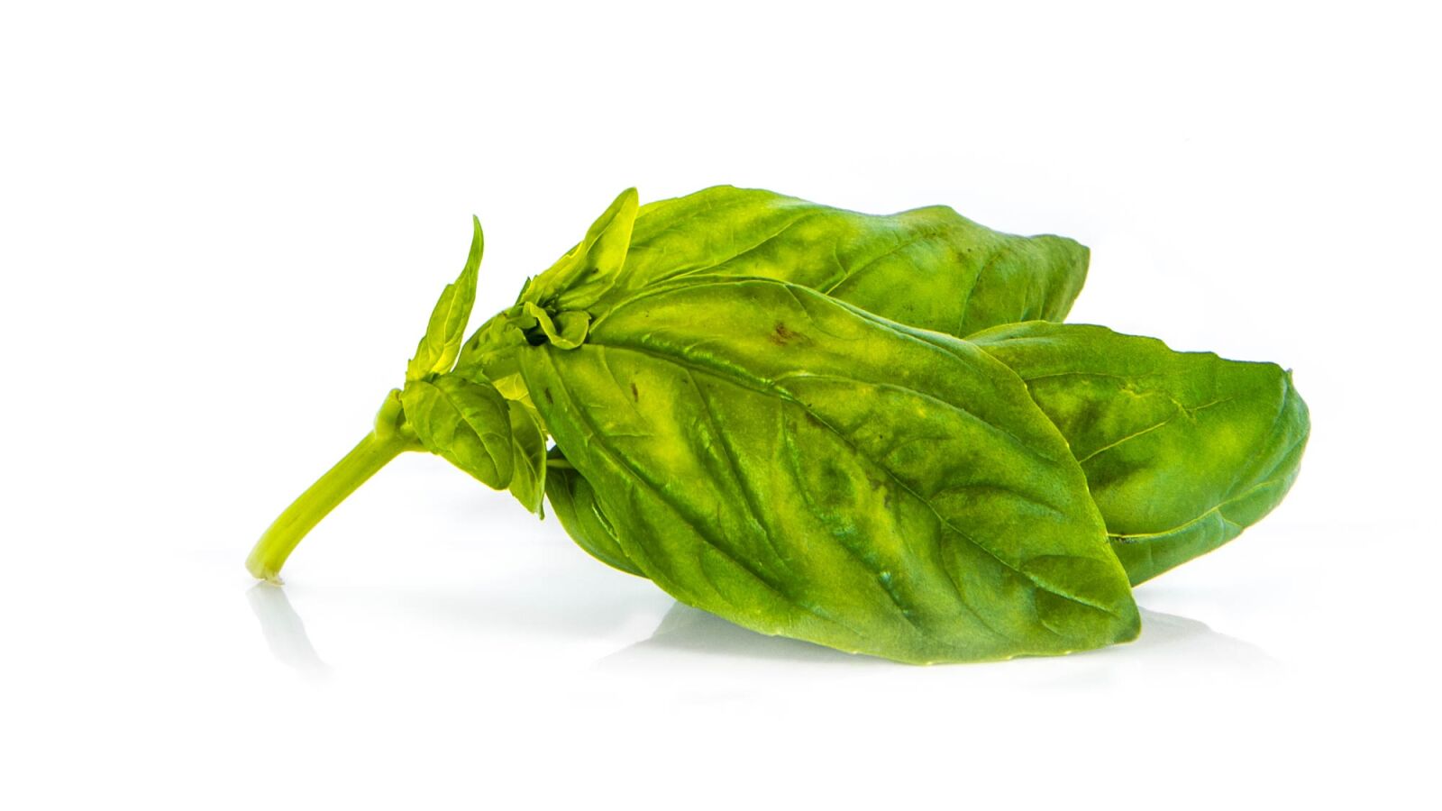 Nikon D7200 sample photo. Basil, grass, green photography