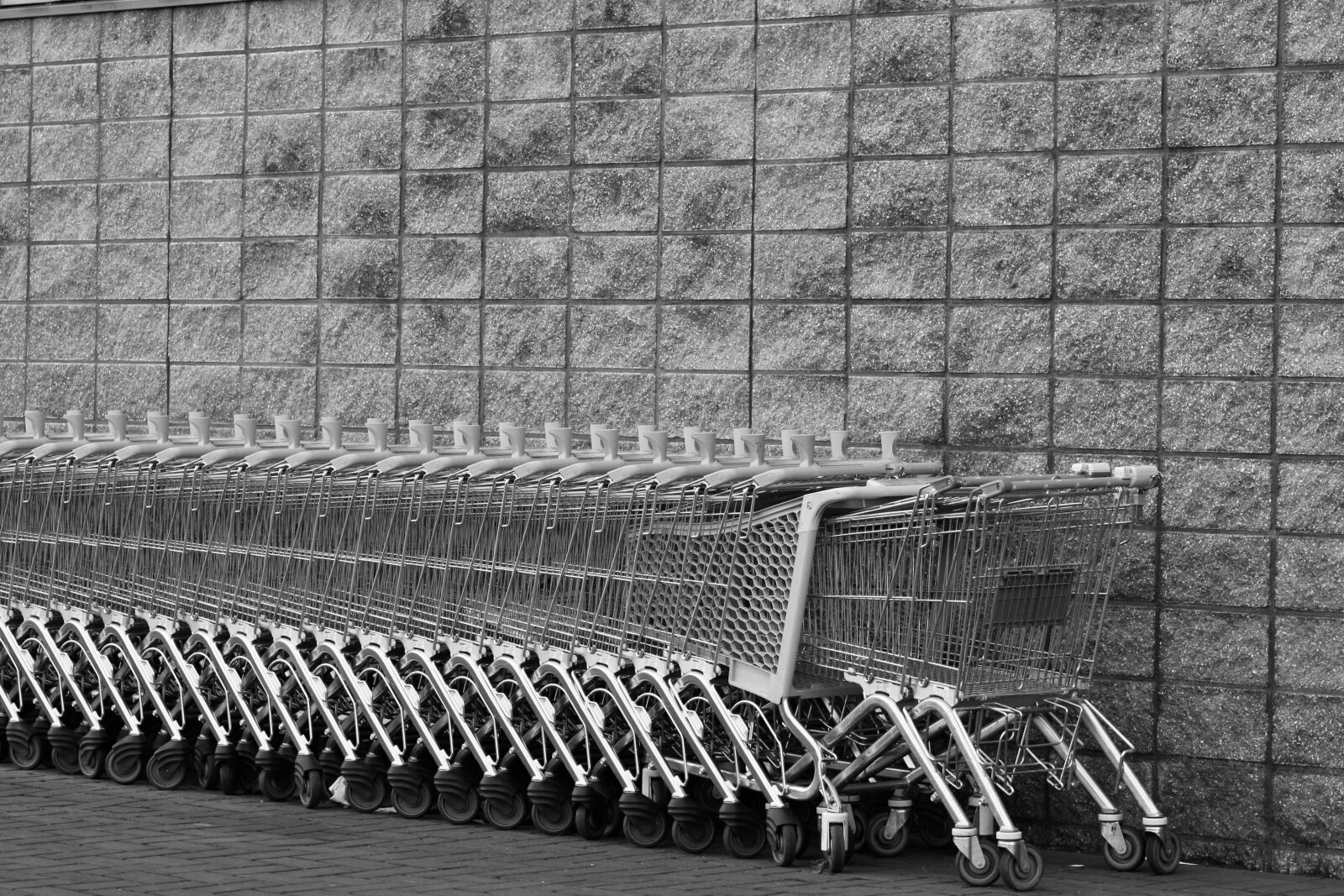 Canon EOS 30D sample photo. Shopping cart, shopping carts photography