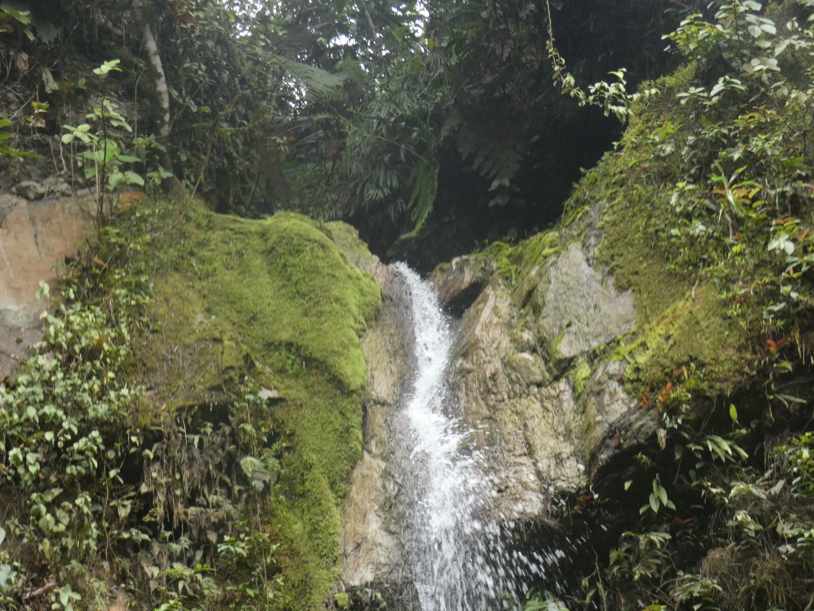 Panasonic Lumix DC-FZ80 (Lumix DC-FZ82) sample photo. Selva, cascada, ecuador photography