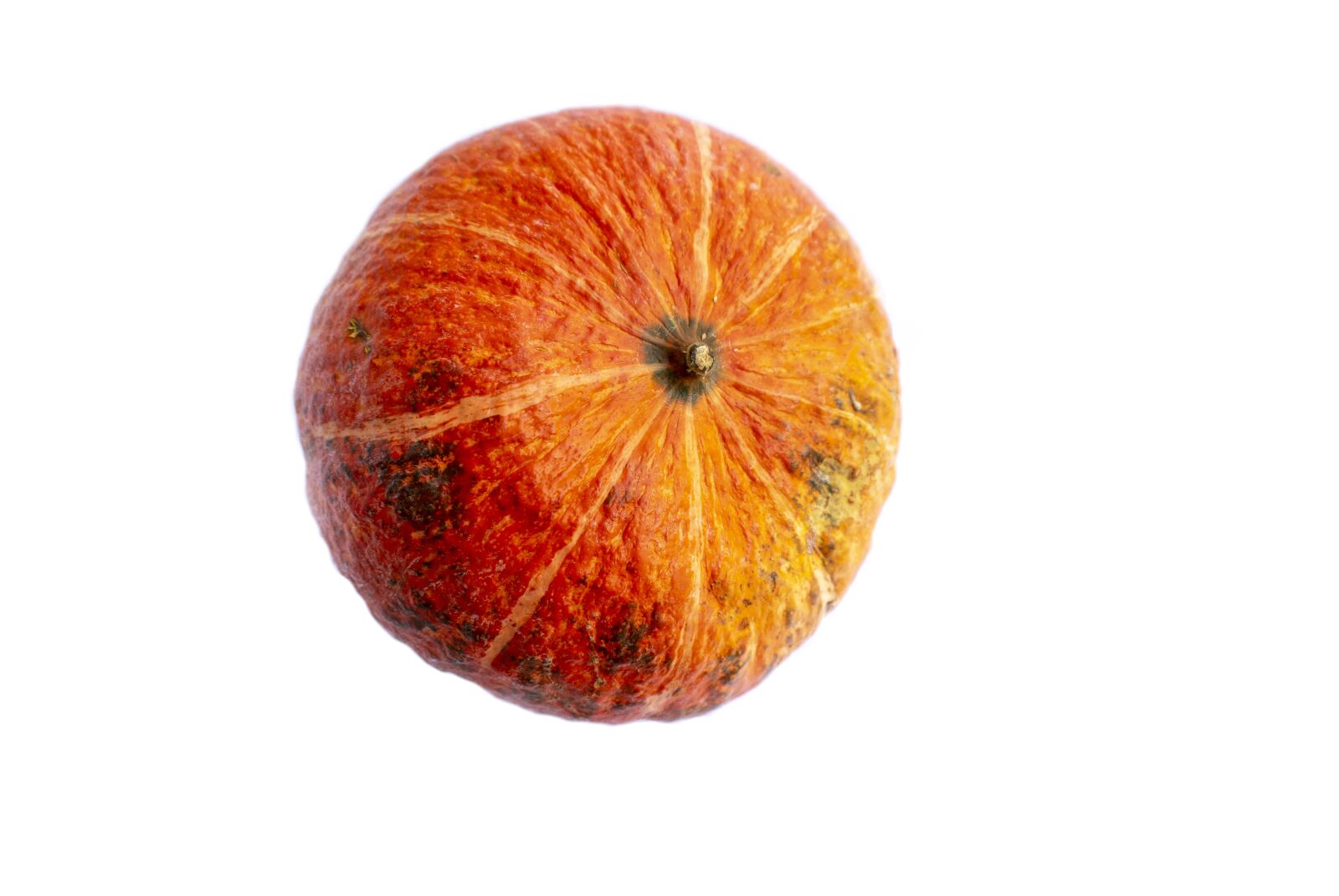Sony Alpha NEX-5T sample photo. Pumpkin, october, harvest photography