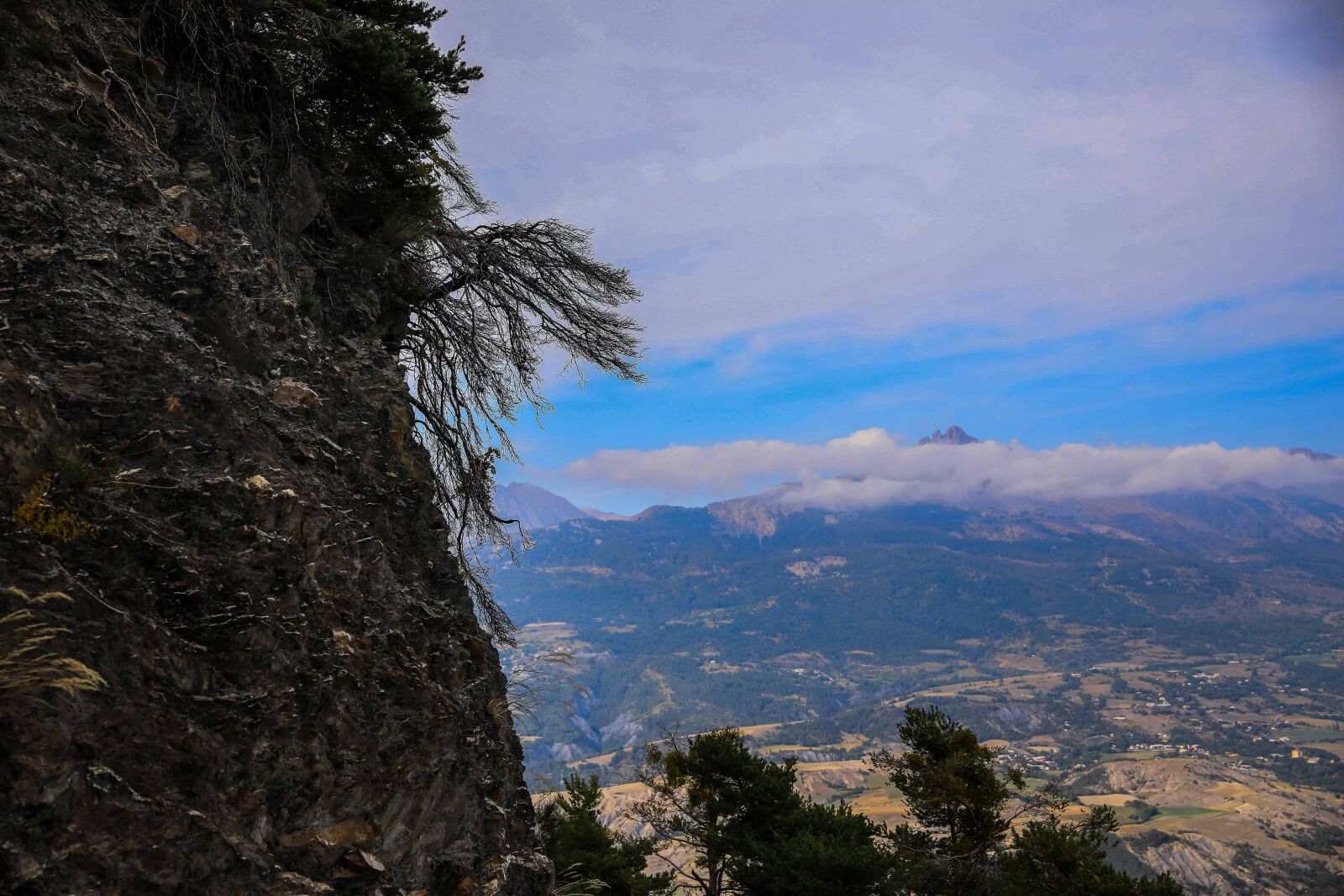 Canon EOS 5D Mark IV sample photo. Nature, mountain, tree, sky photography