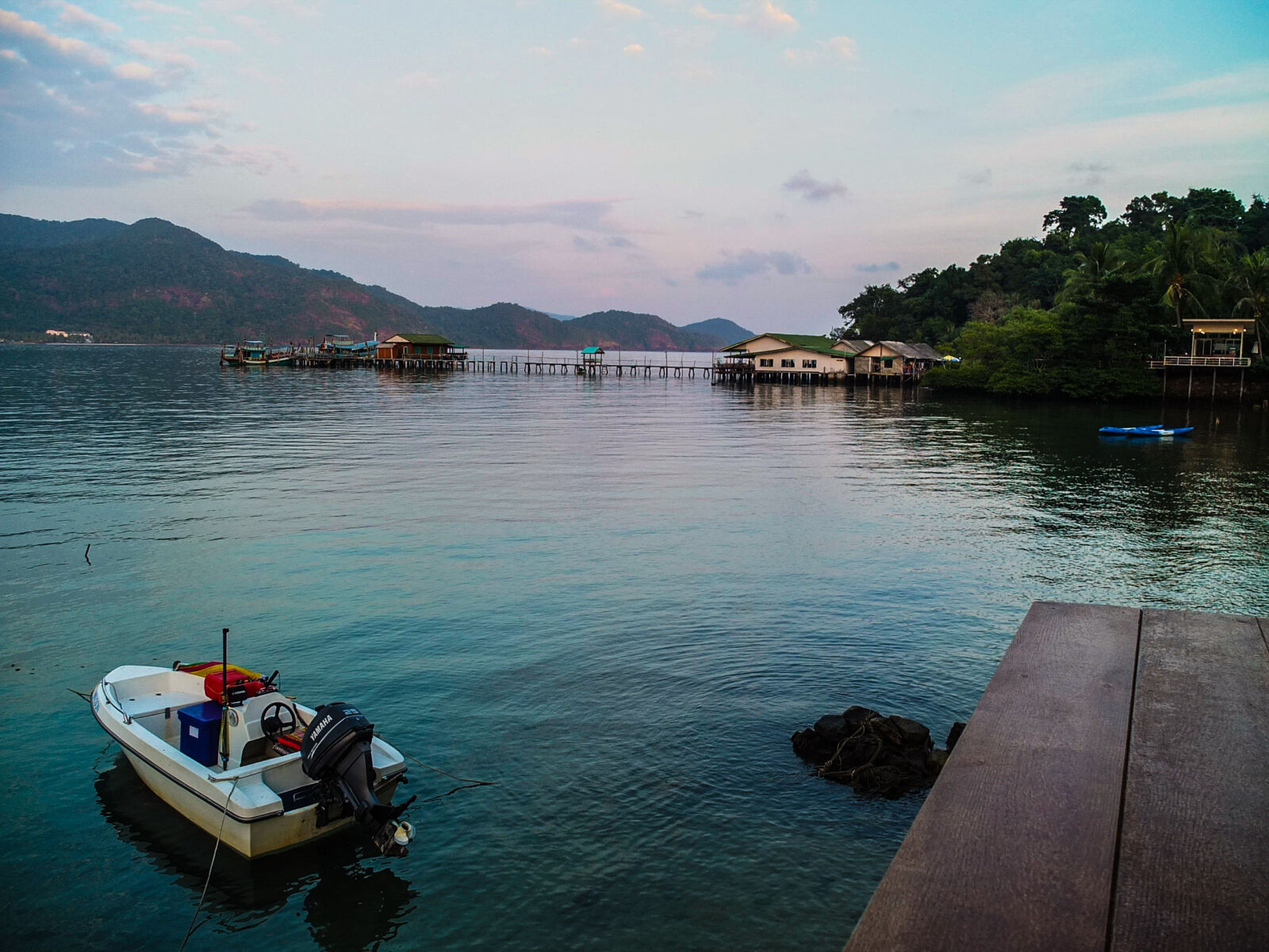 Fujifilm X10 sample photo. Bat, exotic, island, koh photography