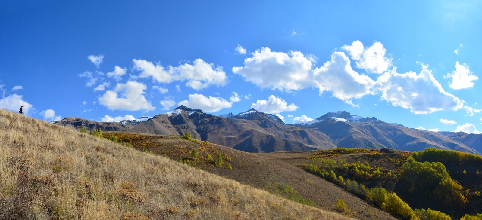 Nikon D7100 sample photo. Autumn, season, nature photography