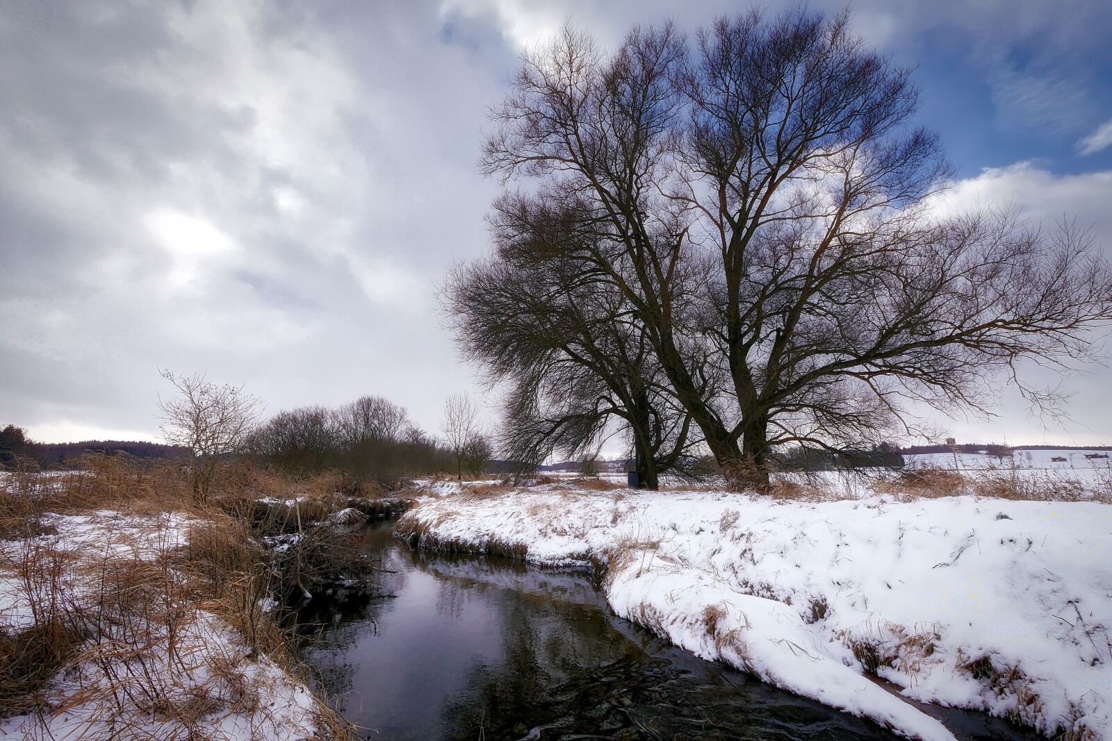 Panasonic Lumix DMC-GX8 sample photo. Winter, bach, wintry photography