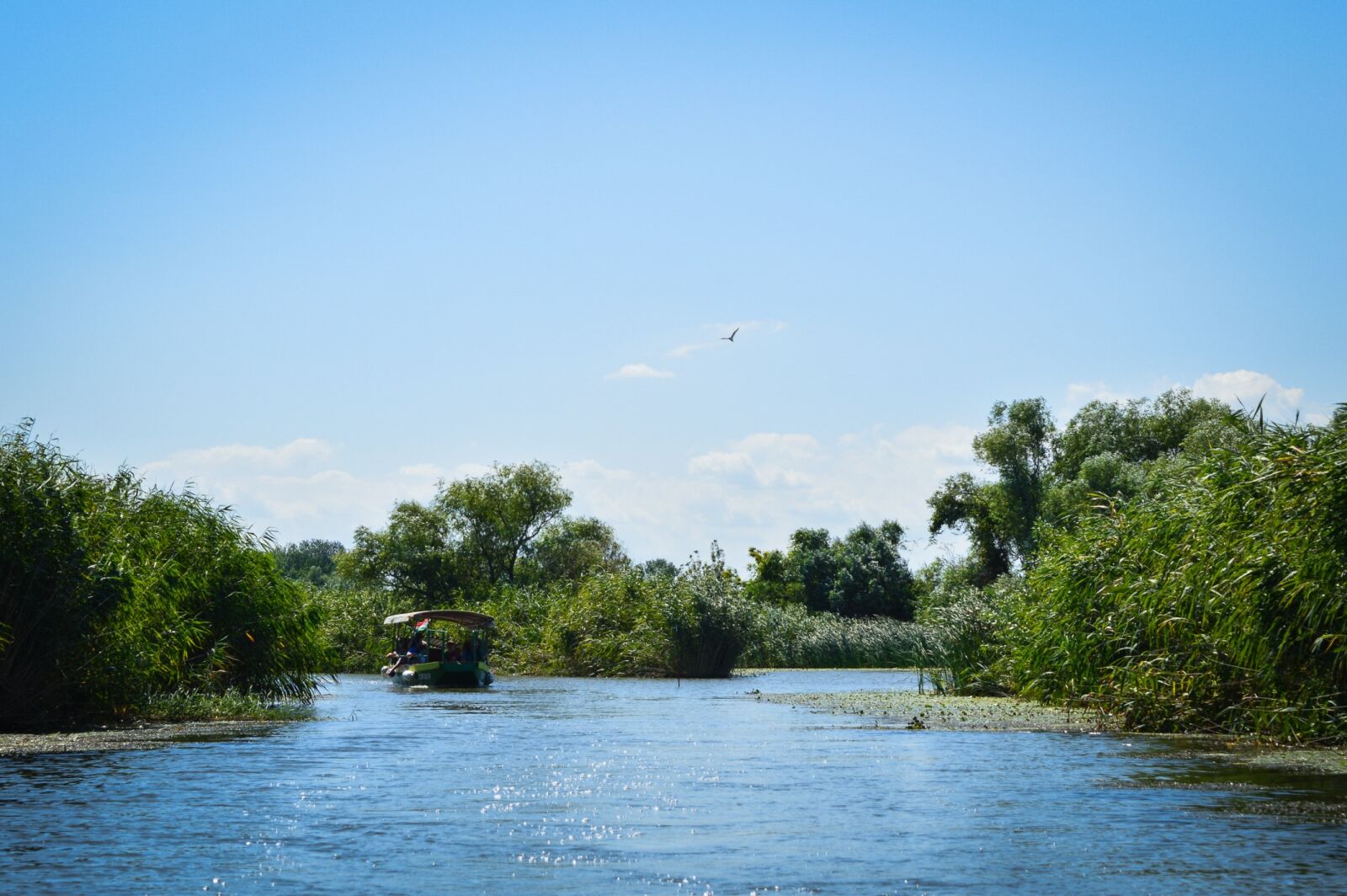Nikon D3200 sample photo. Tisza-lake, poroszló, green photography