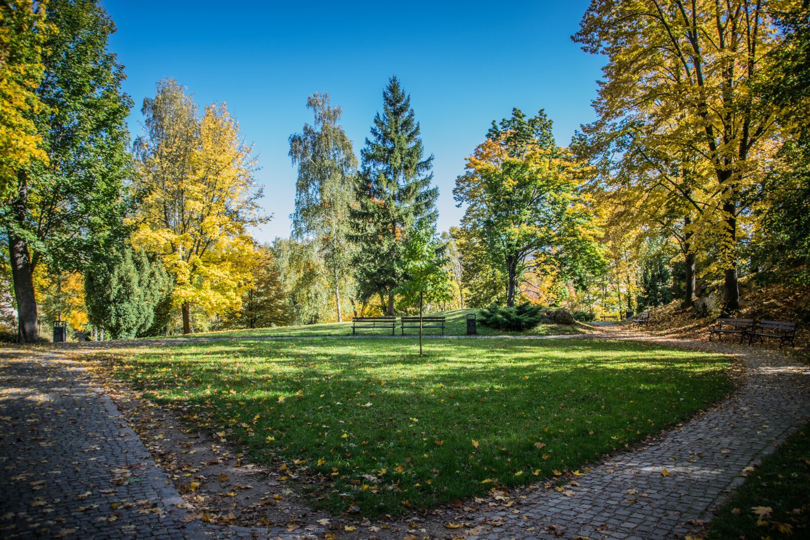 Nikon D5300 sample photo. Park, autumn, outdoor photography
